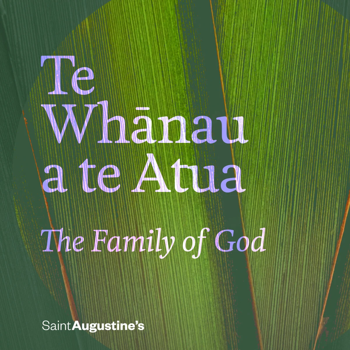 Te Whānau a te Atua 4 | Mathew Newton