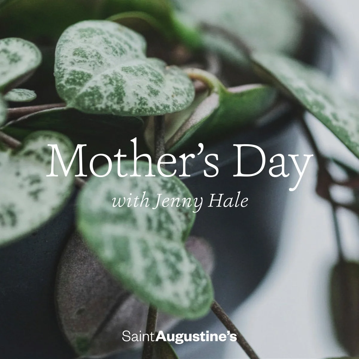 Mothers Day | Jenny Hale