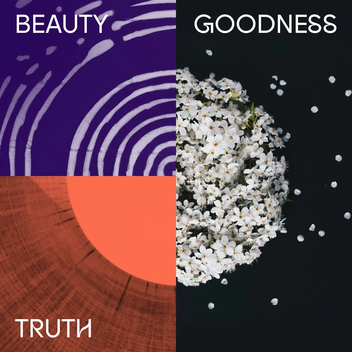Beauty, Goodness, Truth: The Creative Community | Chloe Williams