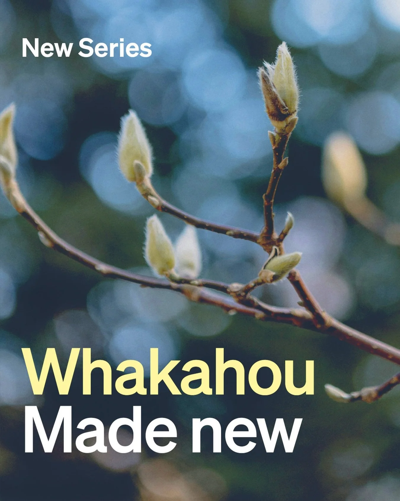 New venue. New chapter. New series. 

In our new series, Whakahou: Made New, we&rsquo;re exploring how God is not only making all of creation new but is also inviting us into that renewal too. 

Join us this Sunday as we continue to discover what it 