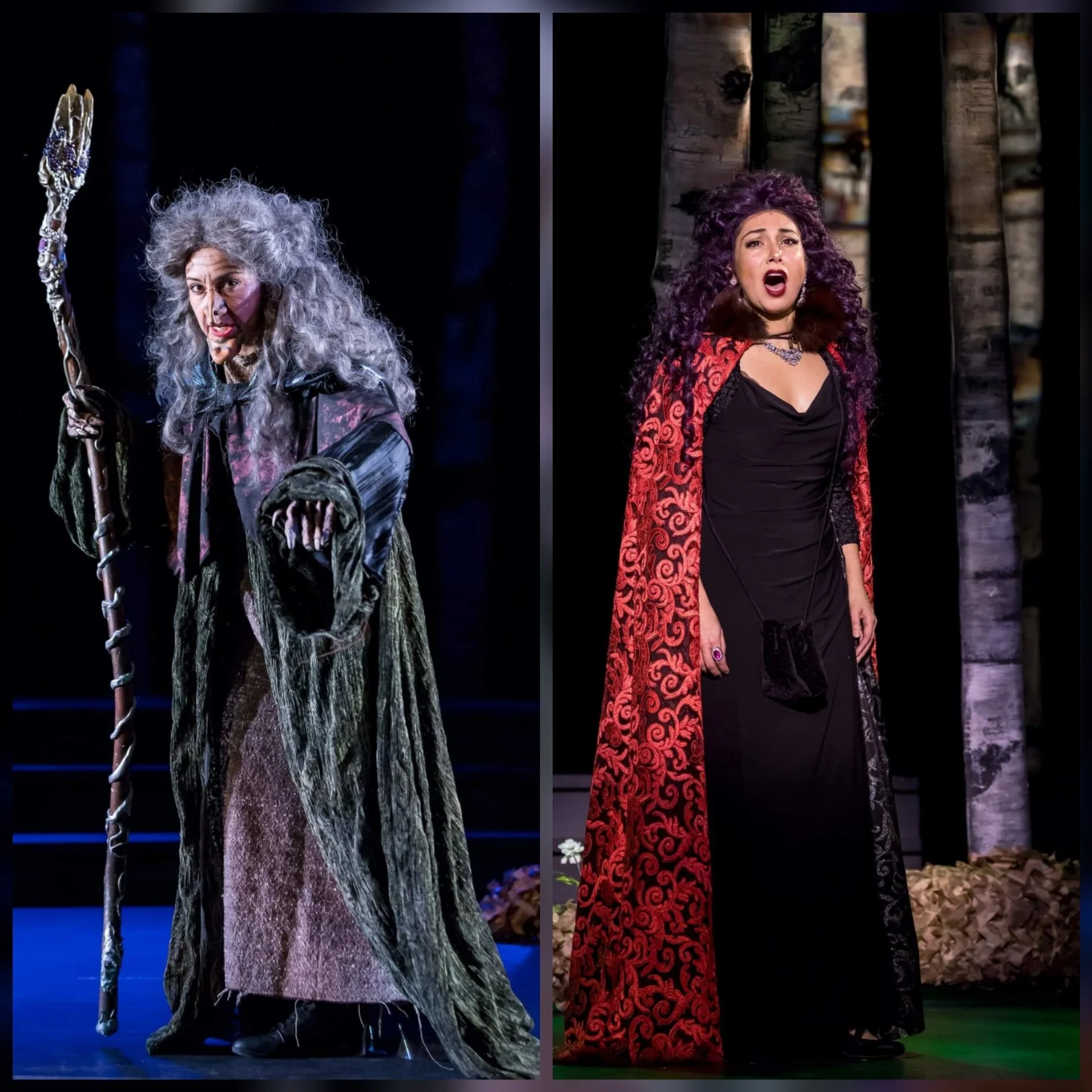 The Witch in INTO THE WOODS