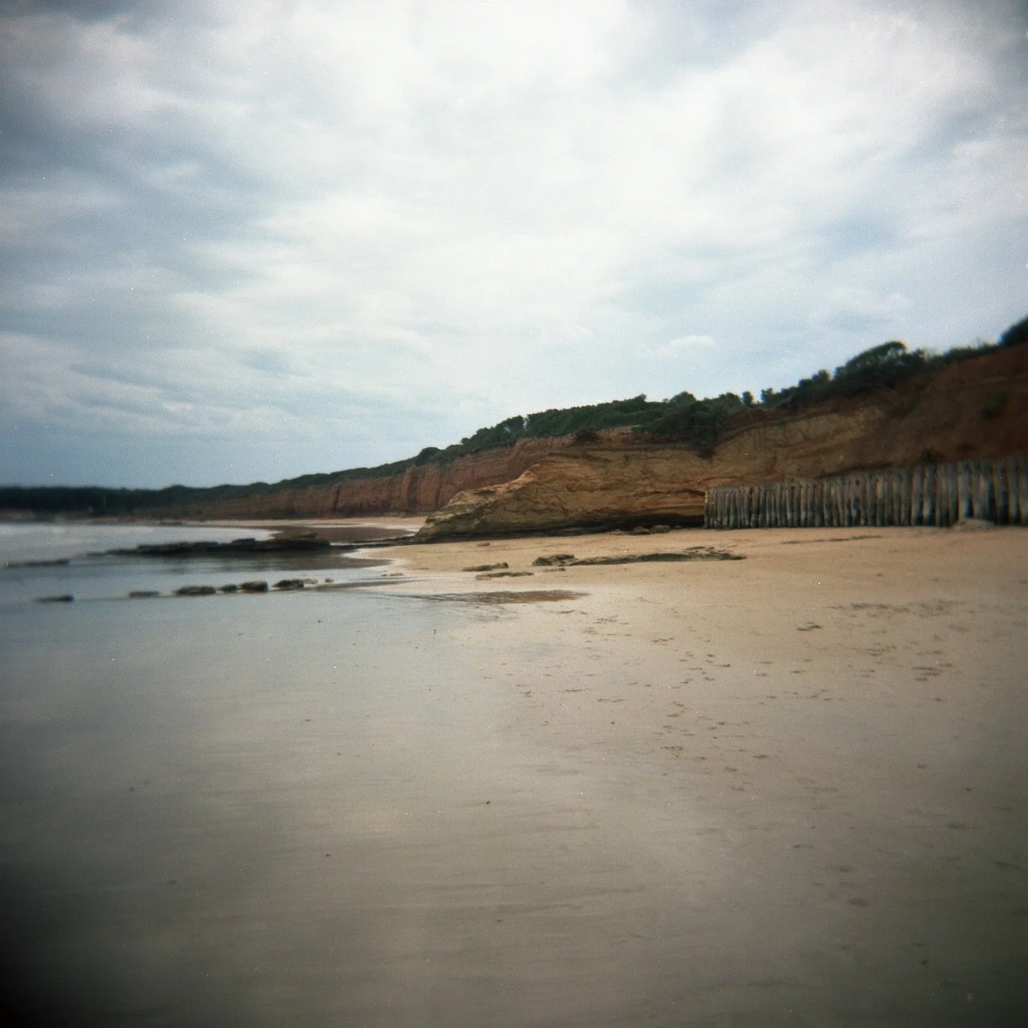 🌿ANGLESEA🌿
.
.
Spotlight on my second home in this week&rsquo;s @domain.com.au magazine, confirming what I have long known..it is indeed a little slice of paradise🤍
.
.
5 of my favourite things to do in Anglesea:
🌿 Run along the coastal track and