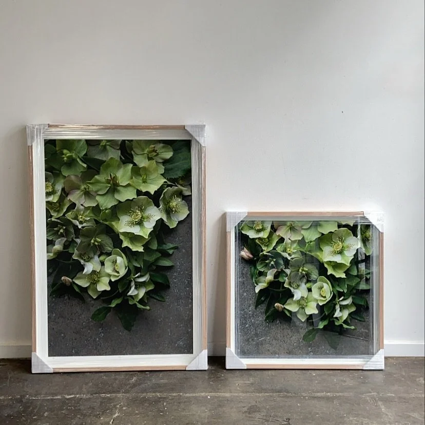 Have you been searching for the perfect sized print to suit your space? I have a large collection of nature inspired prints in landscape, portrait and square in 3 sizes. Head to the link in bio to explore the print store. Please message me if you hav