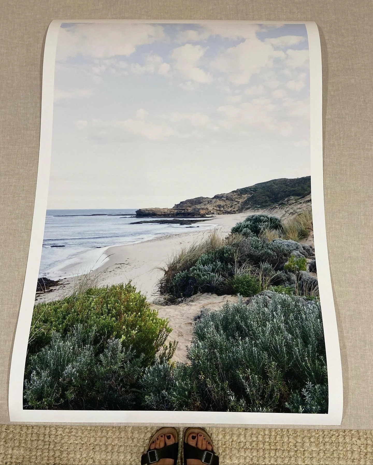 A few of my local favourites, all printed on archival cotton rag &amp; hand signed✍️
.
.
🌿 Koonya Beach
🌿 St Andrew&rsquo;s 
🌿 Mt Martha
🌿 Blue
🌿 South Beach
🌿 The Pillars 

Order now and receive 20% off site-wide. Enter code ELEVATE2025 at che