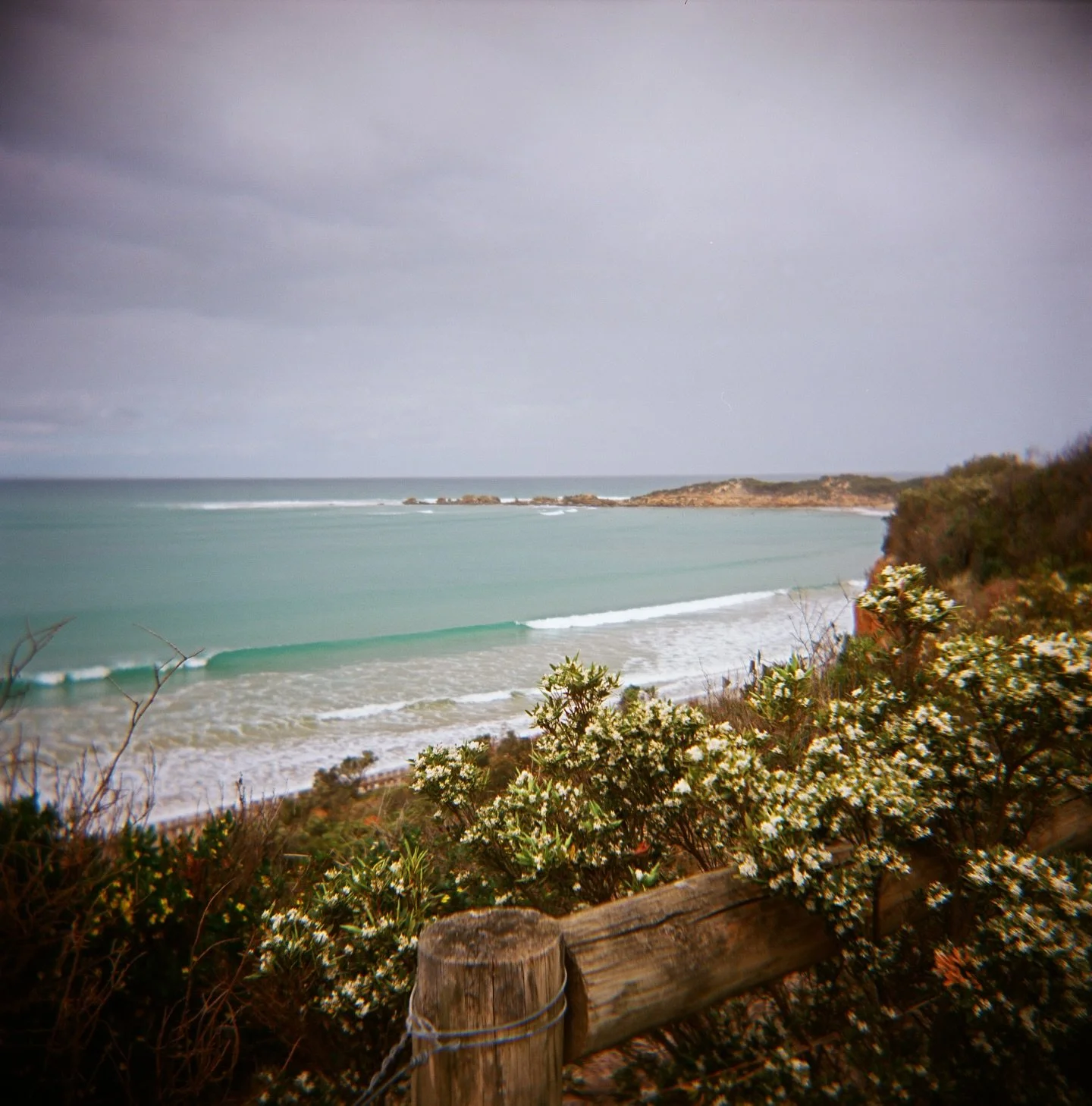 🌿Best laid plans for 2026🌿
.
.
🎞️ Shoot more film
🌿 Time in nature
🌏 Travel 
🎤 Live music 
🏞️ A solo exhibition 
📷 Move into a new studio
.
.
#photography #photographer #fineartprints #newyear #bestlaidplans