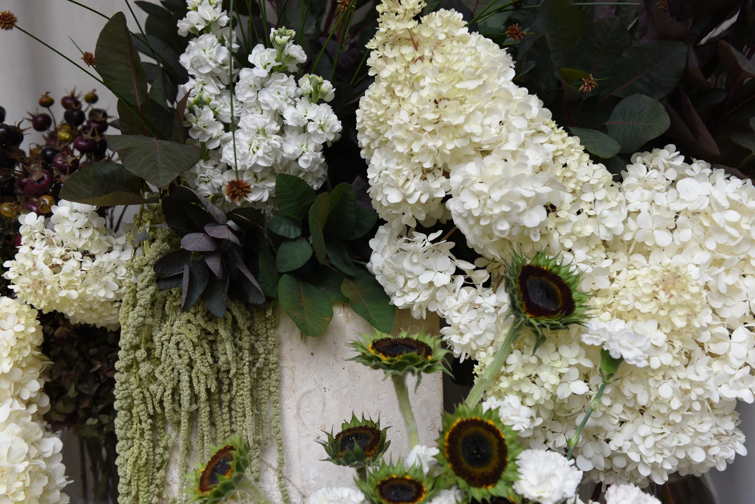 AN EVOLVING CREATIVE JOURNEY WITH POPPY CULTURE