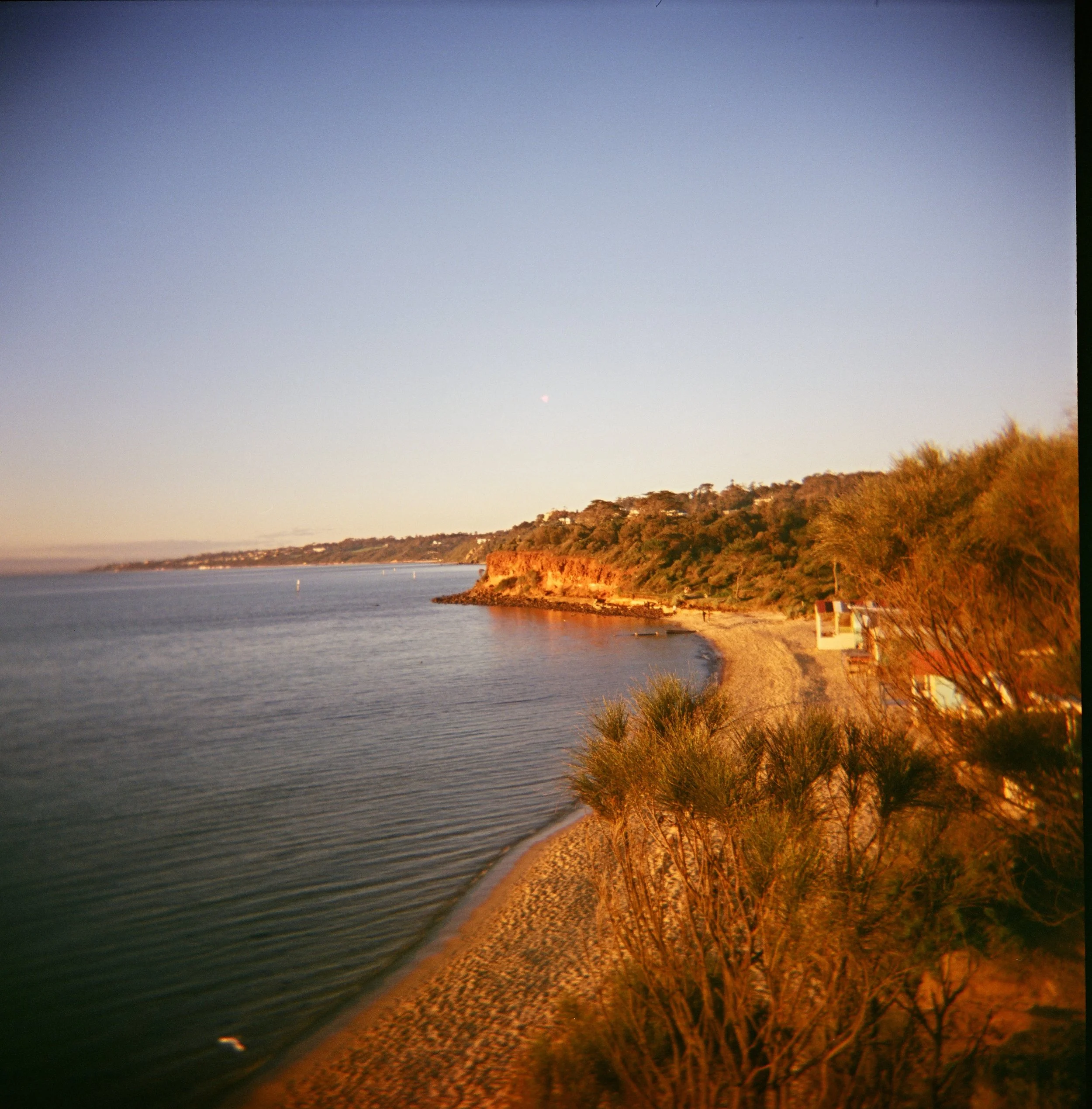 Our local Mornington coastline at golden hour in winter💛
Shot on medium format film on my Holga. 12 shots, limited exposure control, no editing and no filters. You get what you get and you don&rsquo;t get upset 🎞️
.
.
#photography #photographer #fi