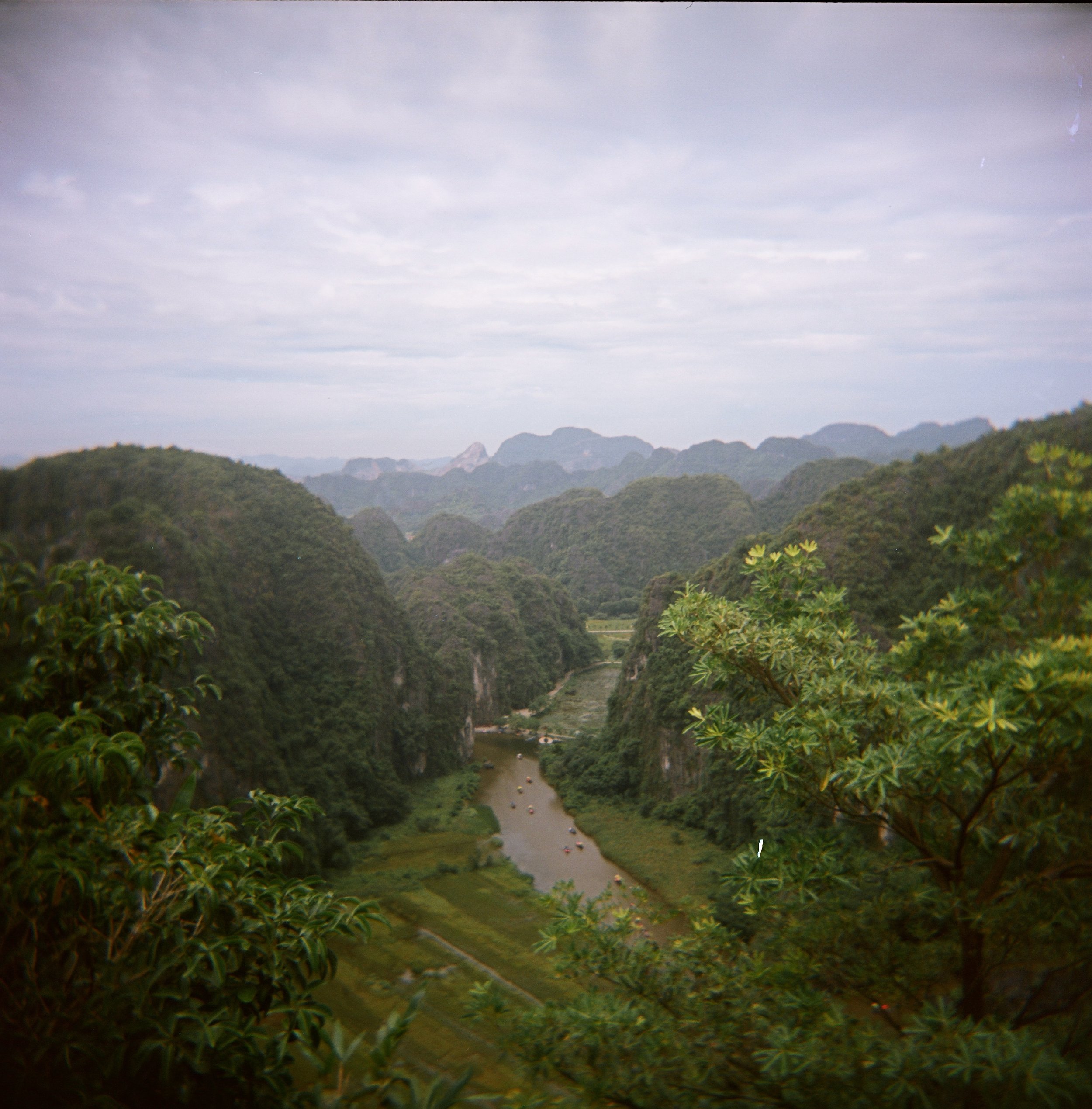 Lying Dragon Mountain 
Ninh Binh, Vietnam 🇻🇳 
486 stone steps to the top
Shot on medium format 🎞️ 
.
.
#photography #photographer #fineartprints #filmphotography #mediumformat