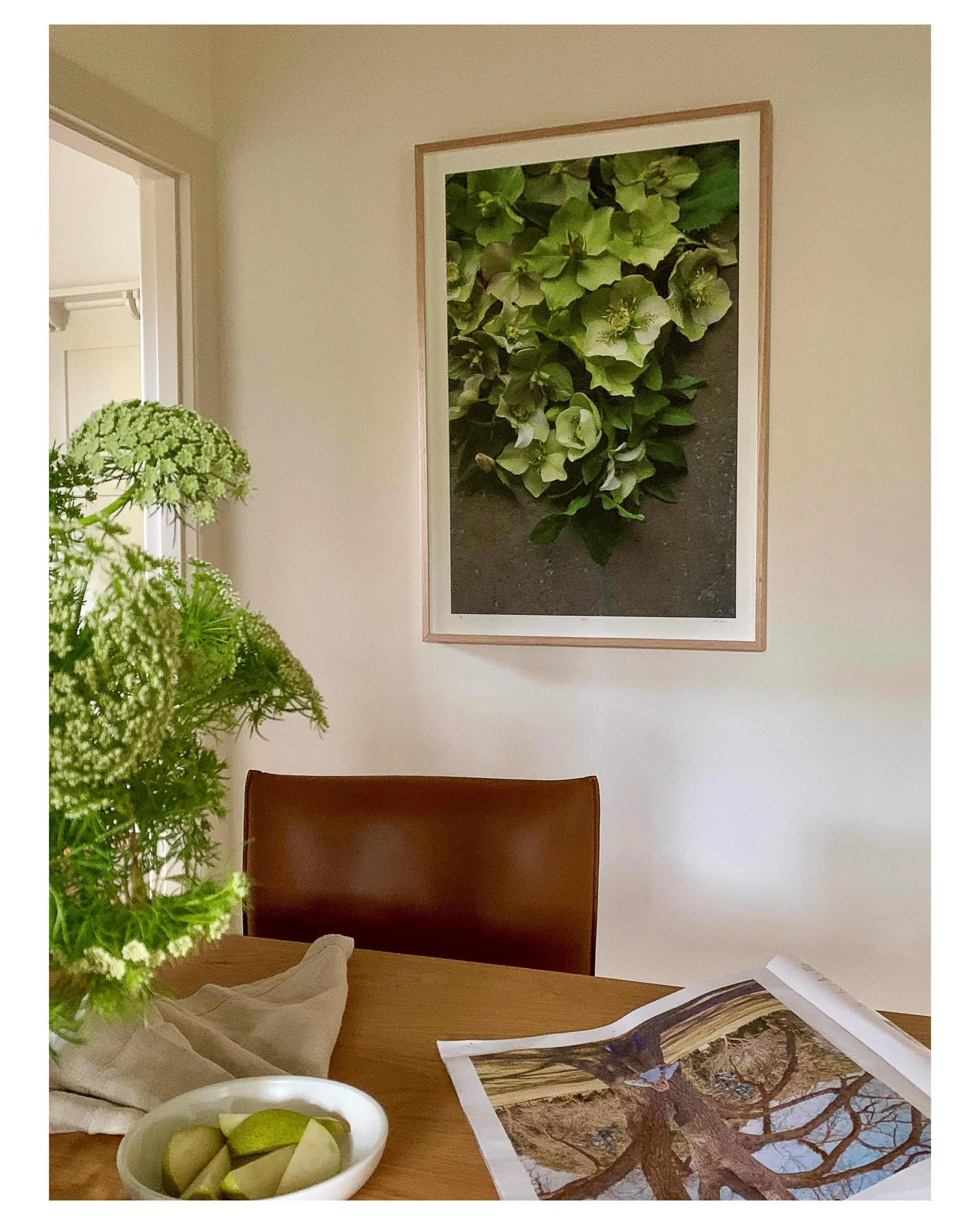 Spring is such a special time of year, watching the garden slowly start to bloom and seeing little green buds appear on the grapevine. Having fresh flowers and foliage to bring indoors always enlivens my home and makes me feel happy. Floral artwork i