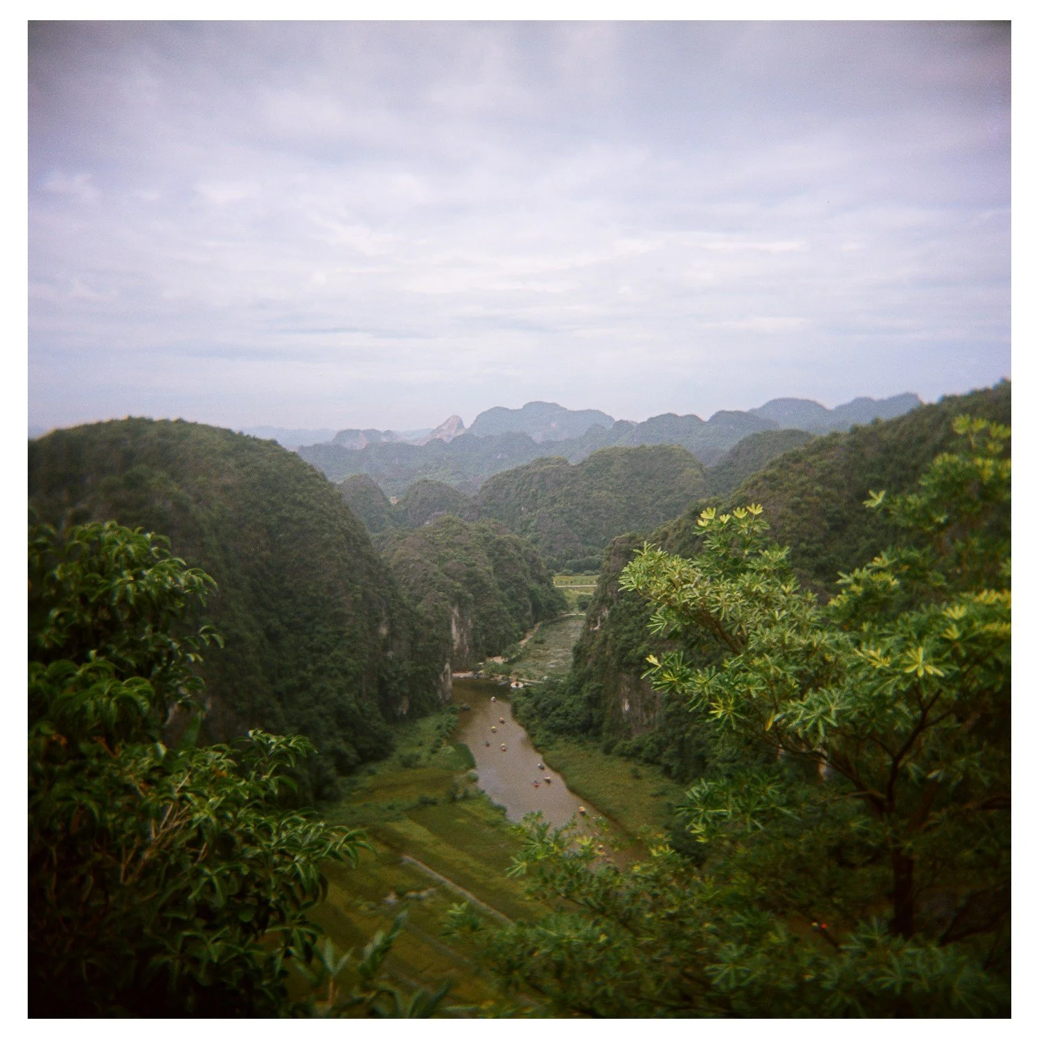 Through the Valley_Sml web.jpg