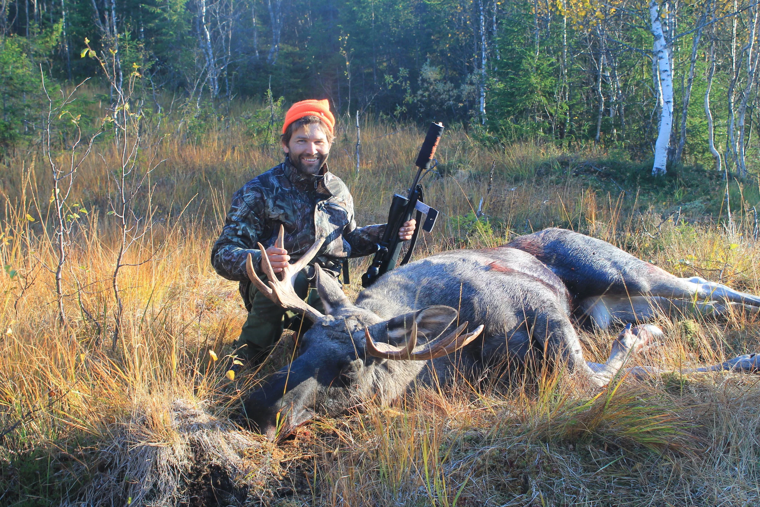 Elgjakt 2019 - 6 jaktfelt til trekking