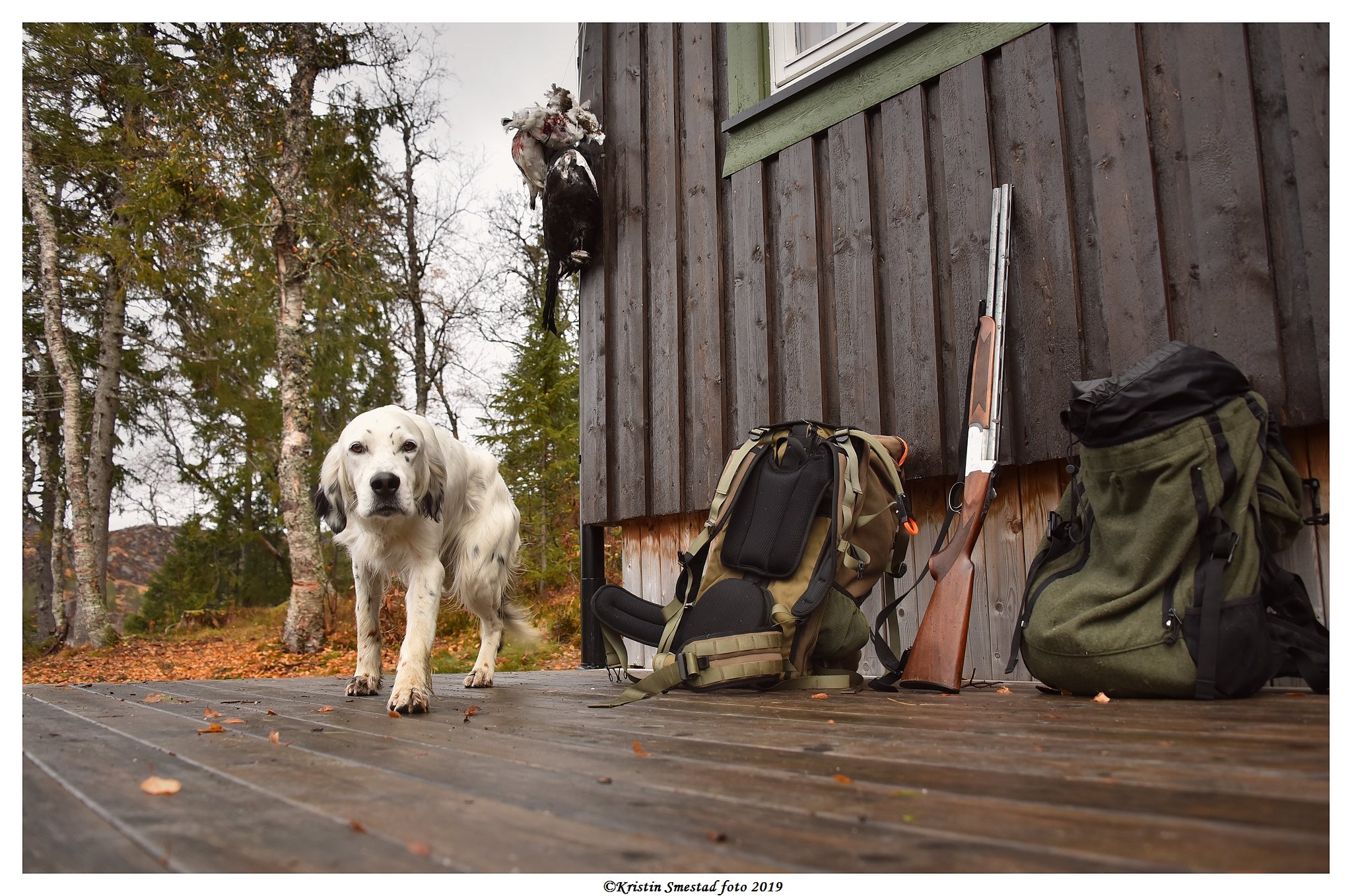 Trekking småviltjakt med hund høsten 2022