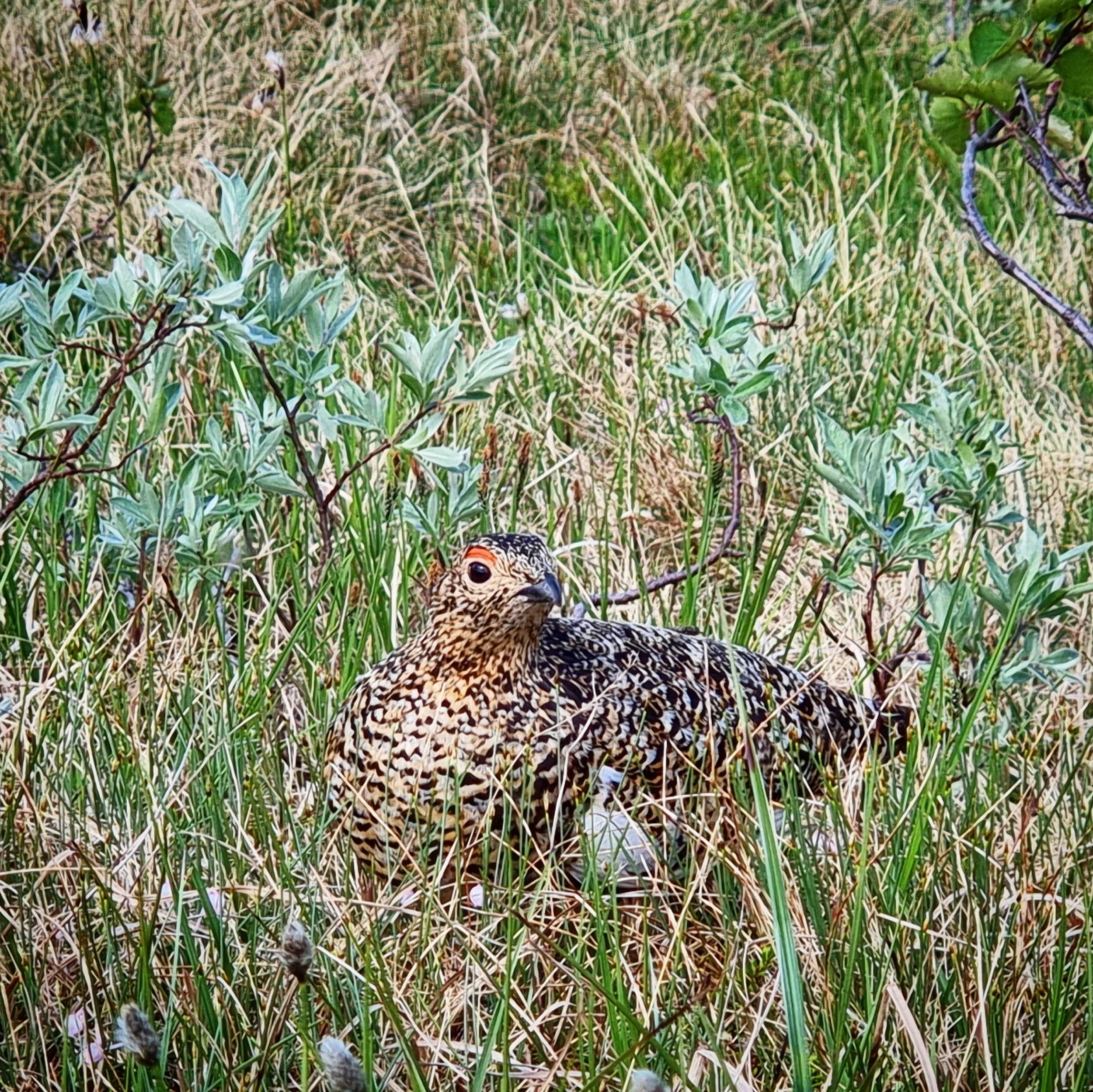 Høringsmøte virksomhetsplan 5. mai 2026 - VELKOMMEN!