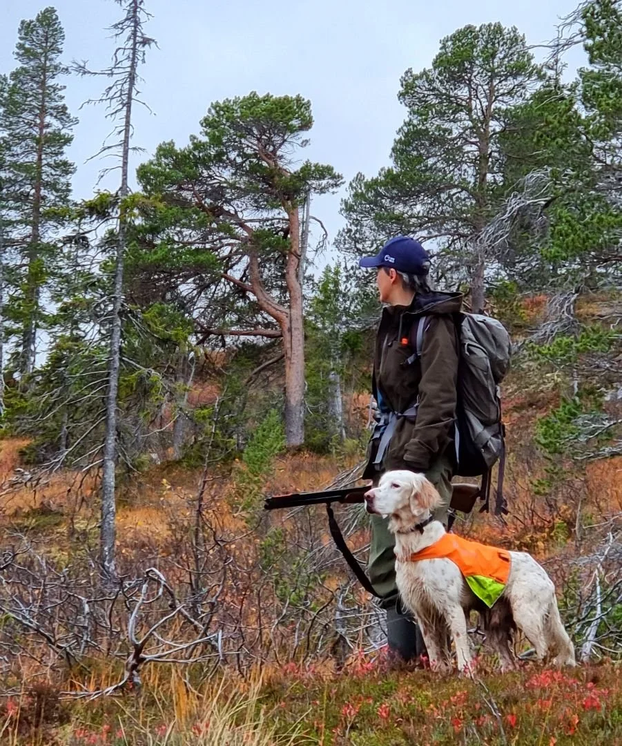 Jaktkort på skogsfugl 
