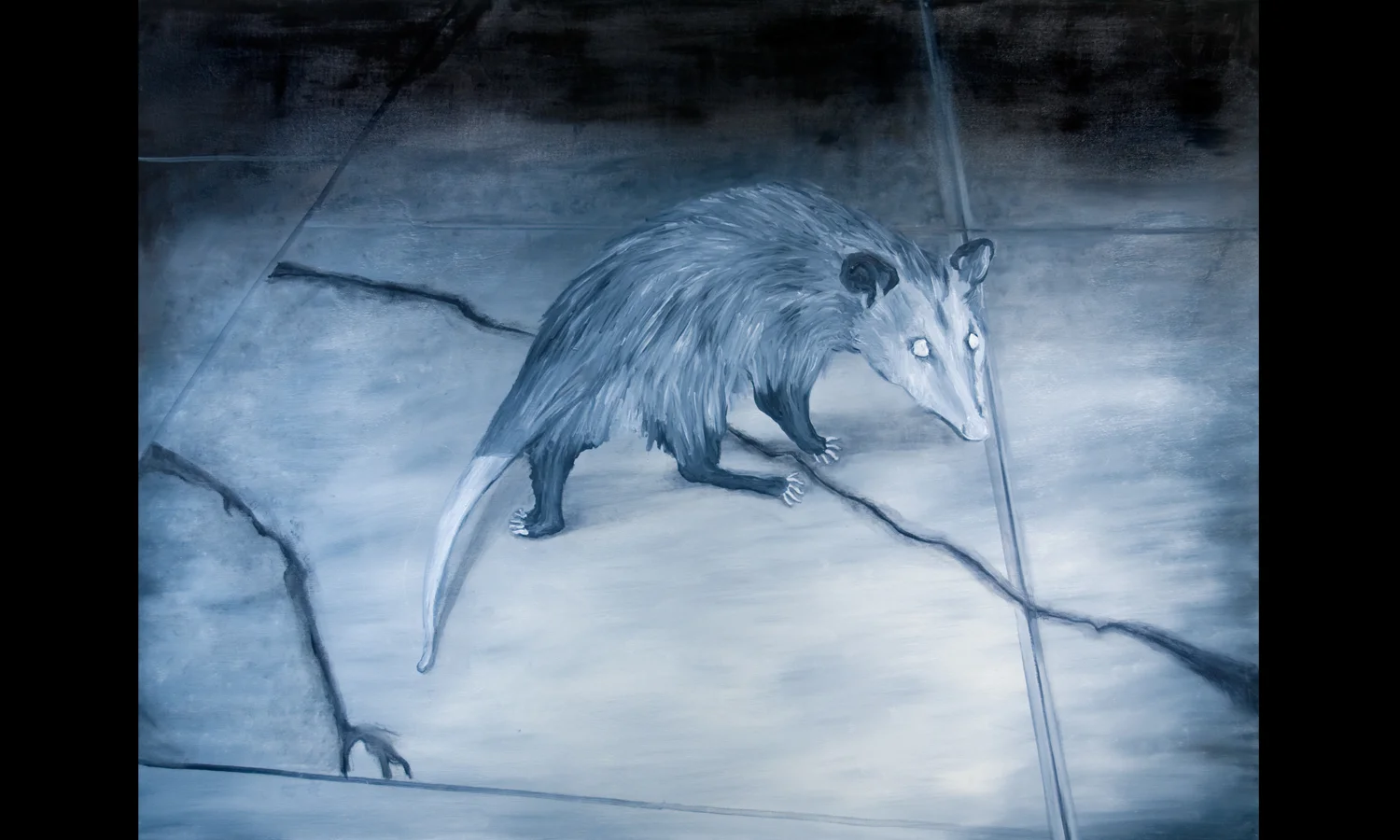 NIGHT POSSUM