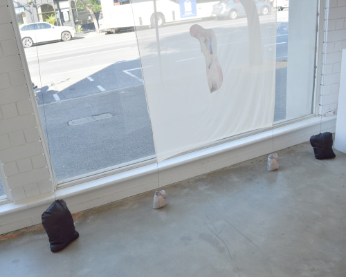 Opaque Divides - Swollen Flat Installation Shot at Floating Goose Studios, Adelaide