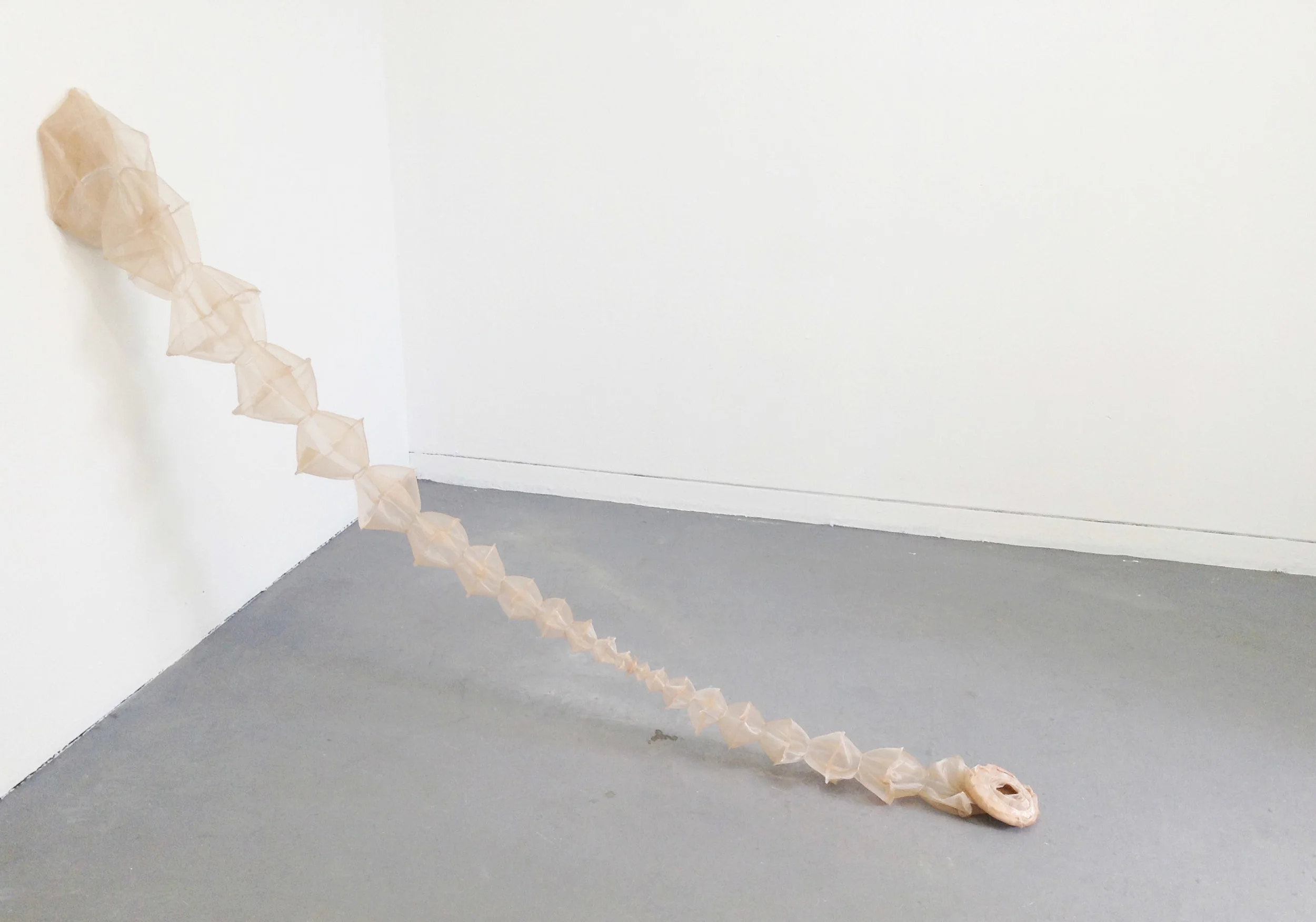 it doesnt mater..jpg