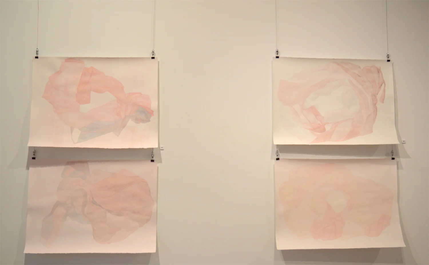 Clasp ( top left) 2019 Watercolour on paper 56 x 76cm ———— Enshroud (bottom left) 2019 Watercolour on paper 56 x 76cm ———— Hover (top right) 2019 Watercolour on paper 56 x76cm ———— Tuck (bottom right) 2019 Watercolour on paper 56 x 76cm