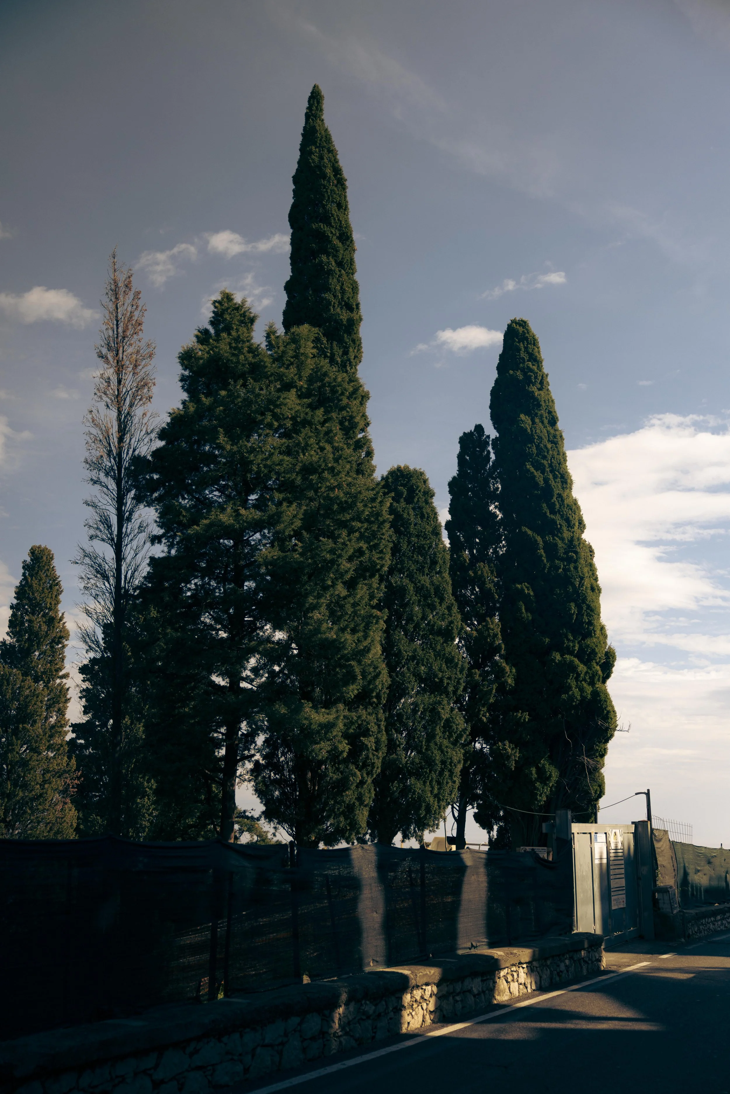 2D6A7679.JPG