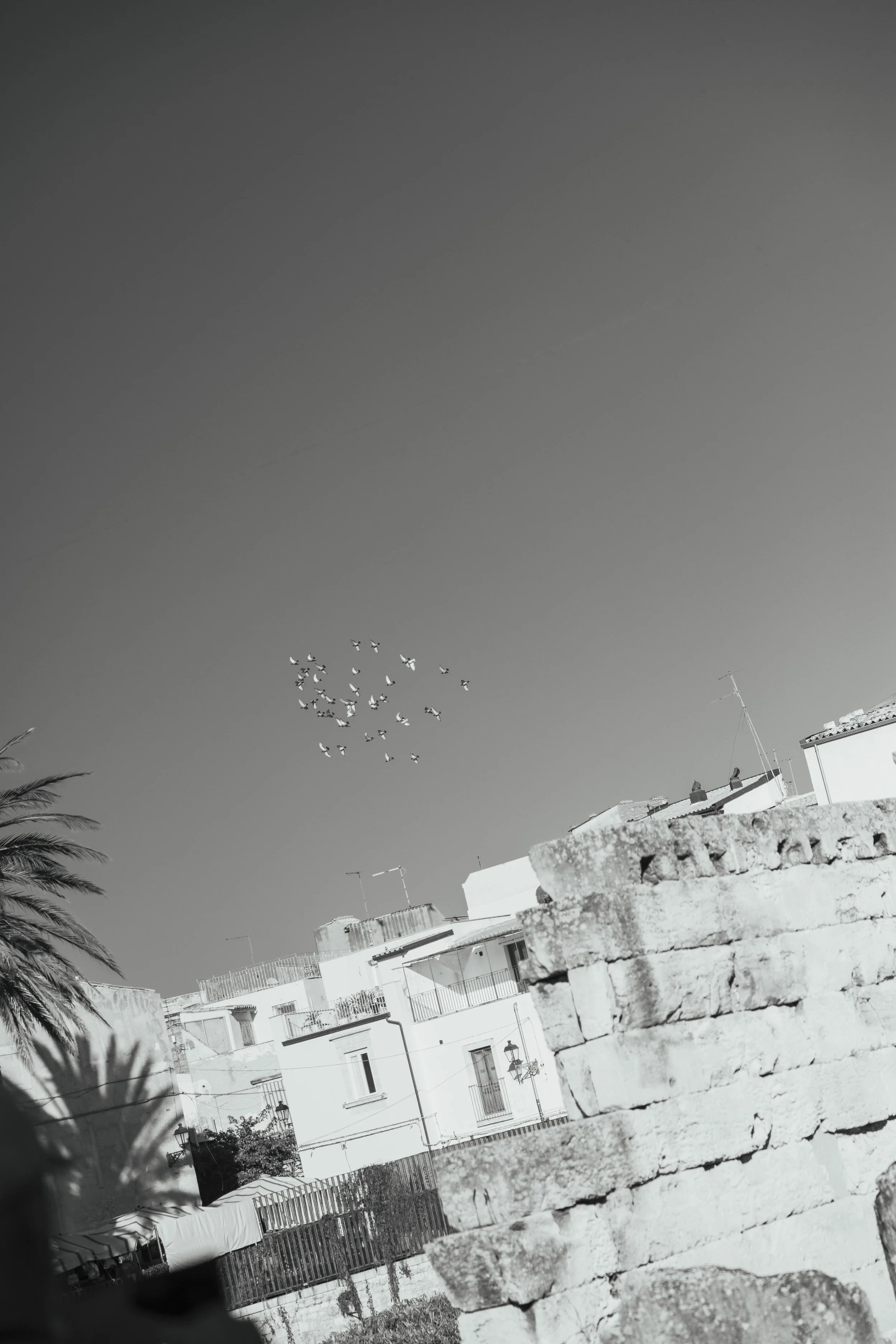 2D6A8509.JPG