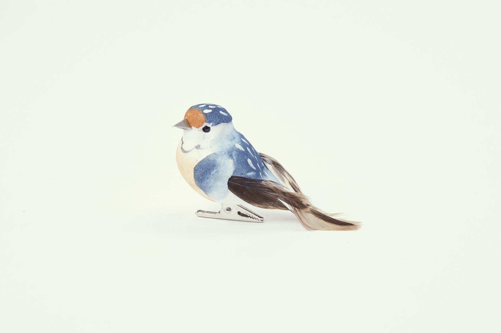 a bird symbolising tweeting.jpg
