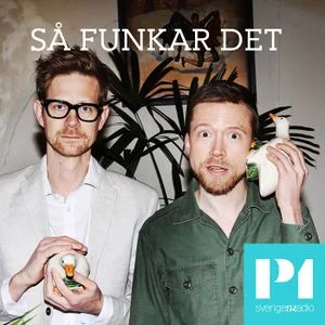 Så funkar det