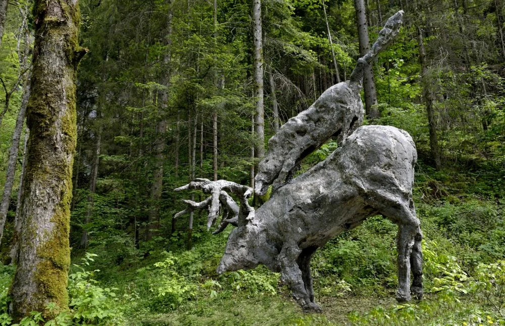 Le loup attaque le cerf