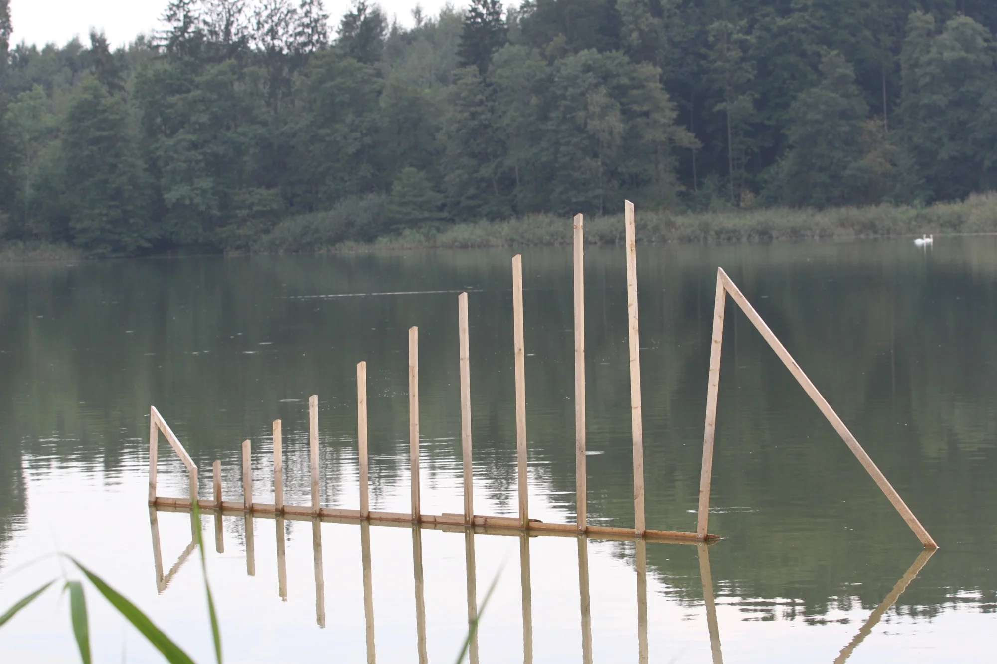 Mit dem Fischmeister um die Teiche