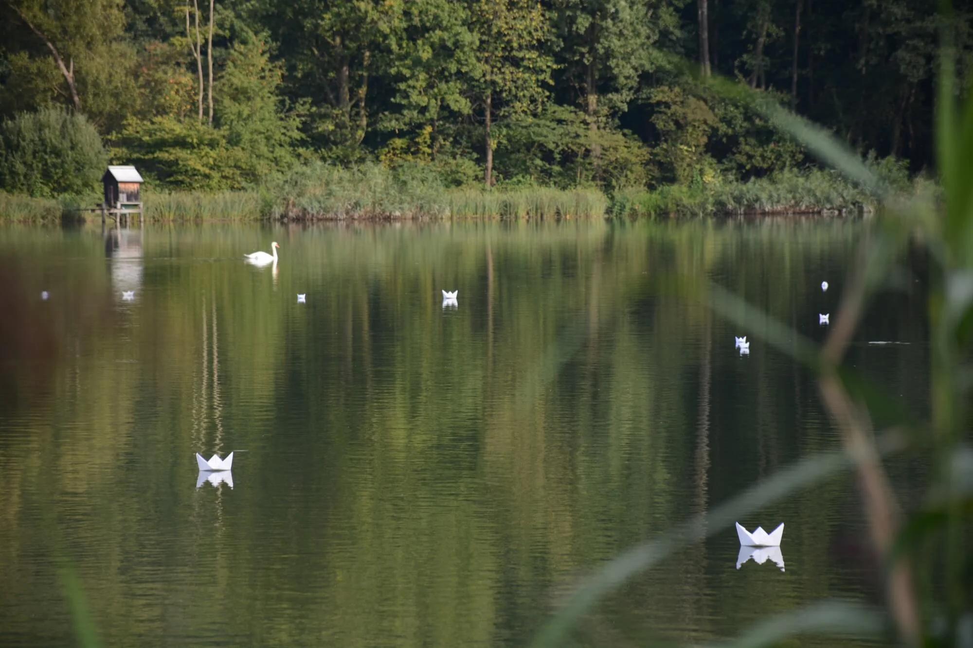 Mit dem Fischmeister um die Teiche