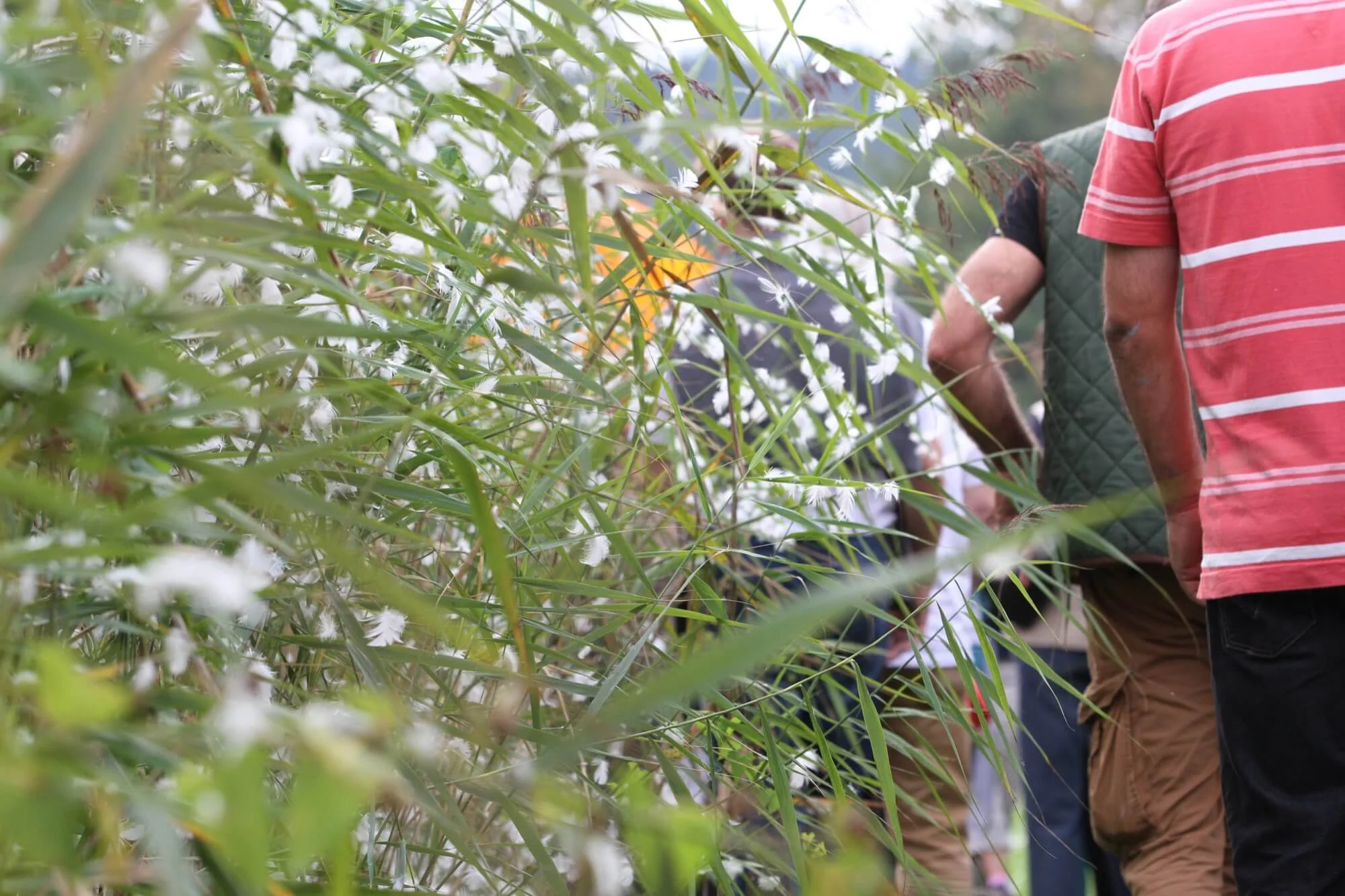 Mit dem Fischmeister um die Teiche