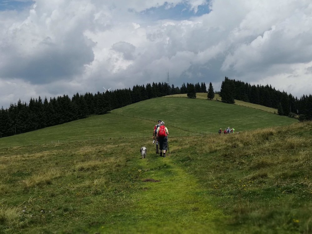 Ewald Koch - Sommeralm 40.jpg