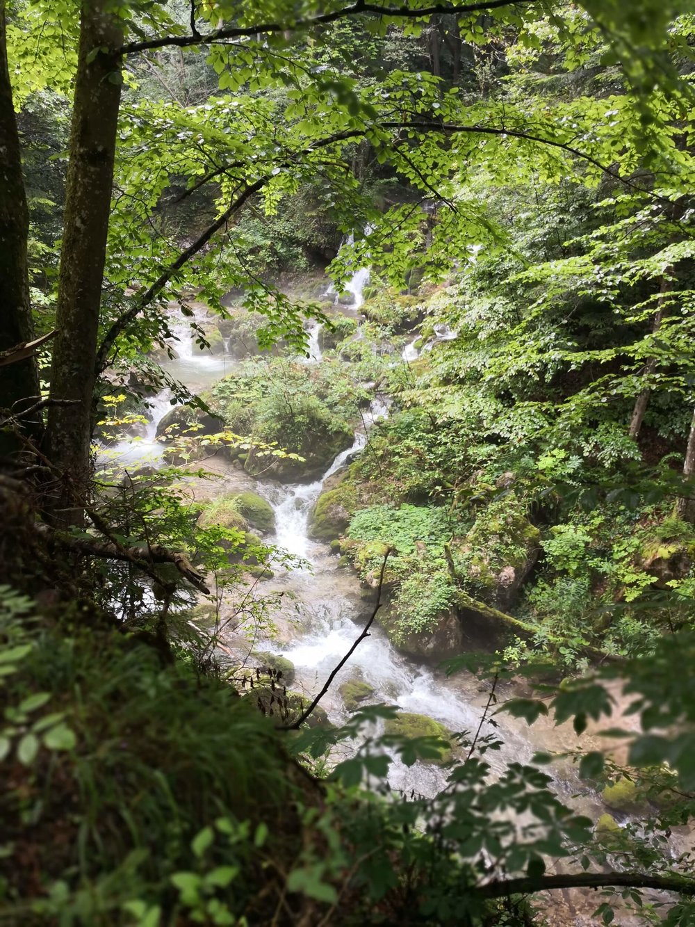 Ewald Koch - Baerenschuetzklamm 01.jpg