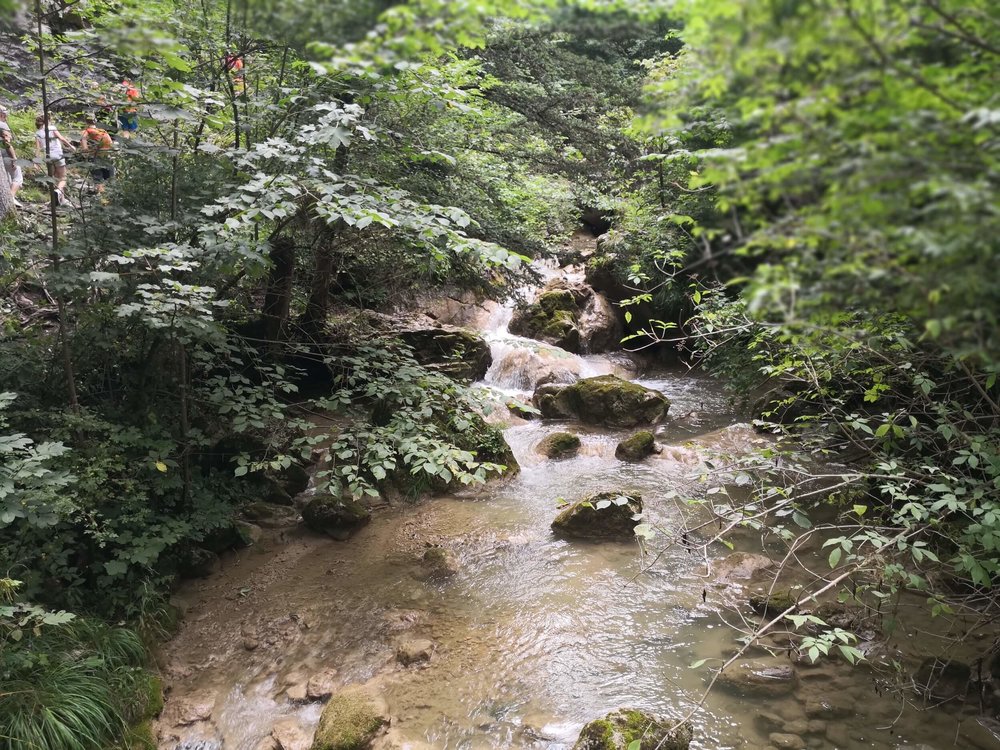 Ewald Koch - Baerenschuetzklamm 09.jpg