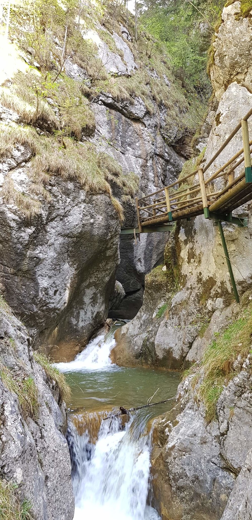 Ewald Koch - Baerenschuetzklamm 32.jpg