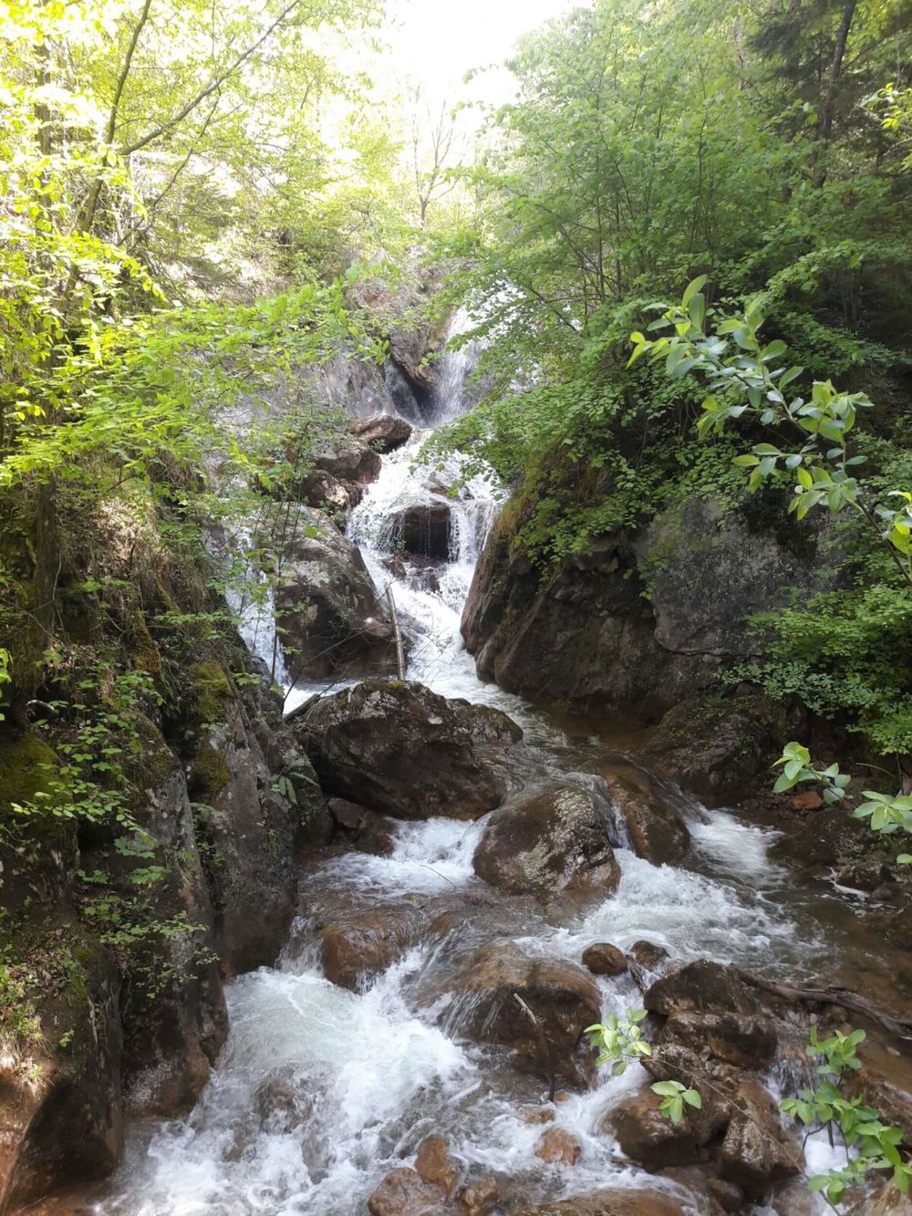 Ewald Koch - Baerenschuetzklamm 53.jpg