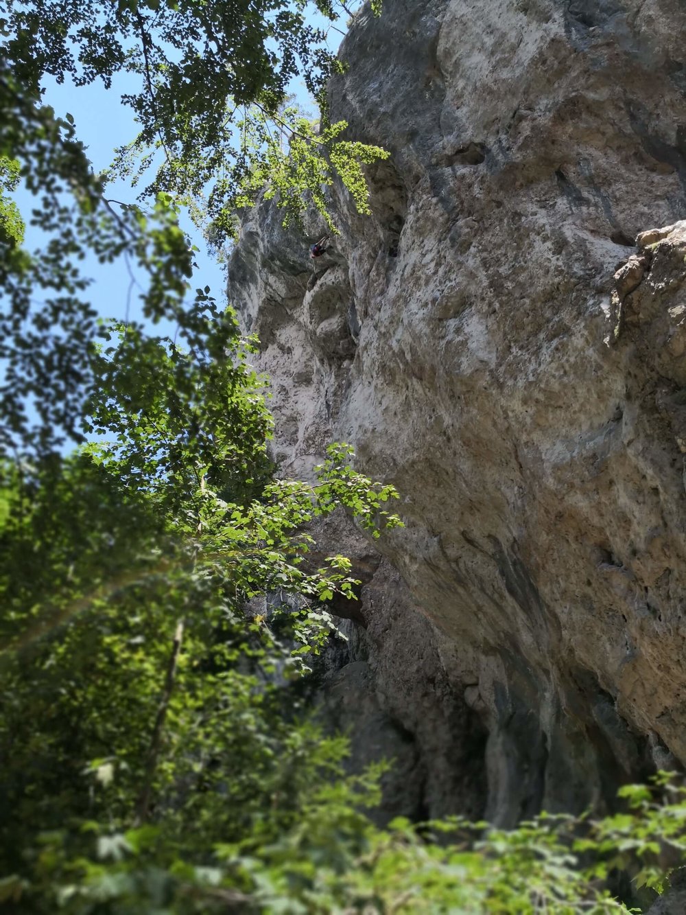 Ewald Koch - Baerenschuetzklamm 49.jpg