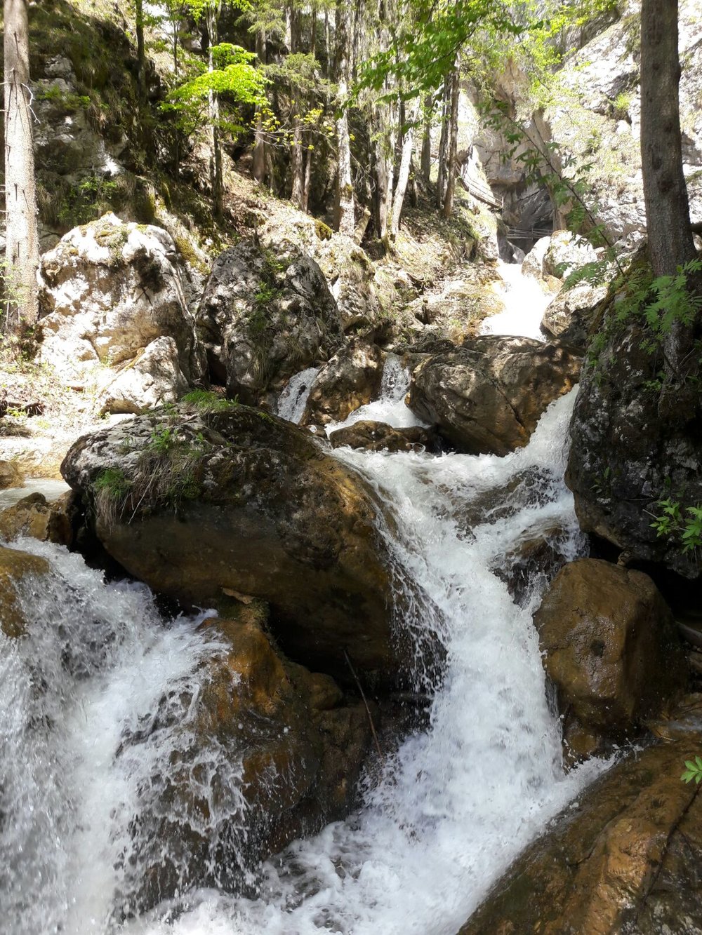 Ewald Koch - Baerenschuetzklamm 54.jpg