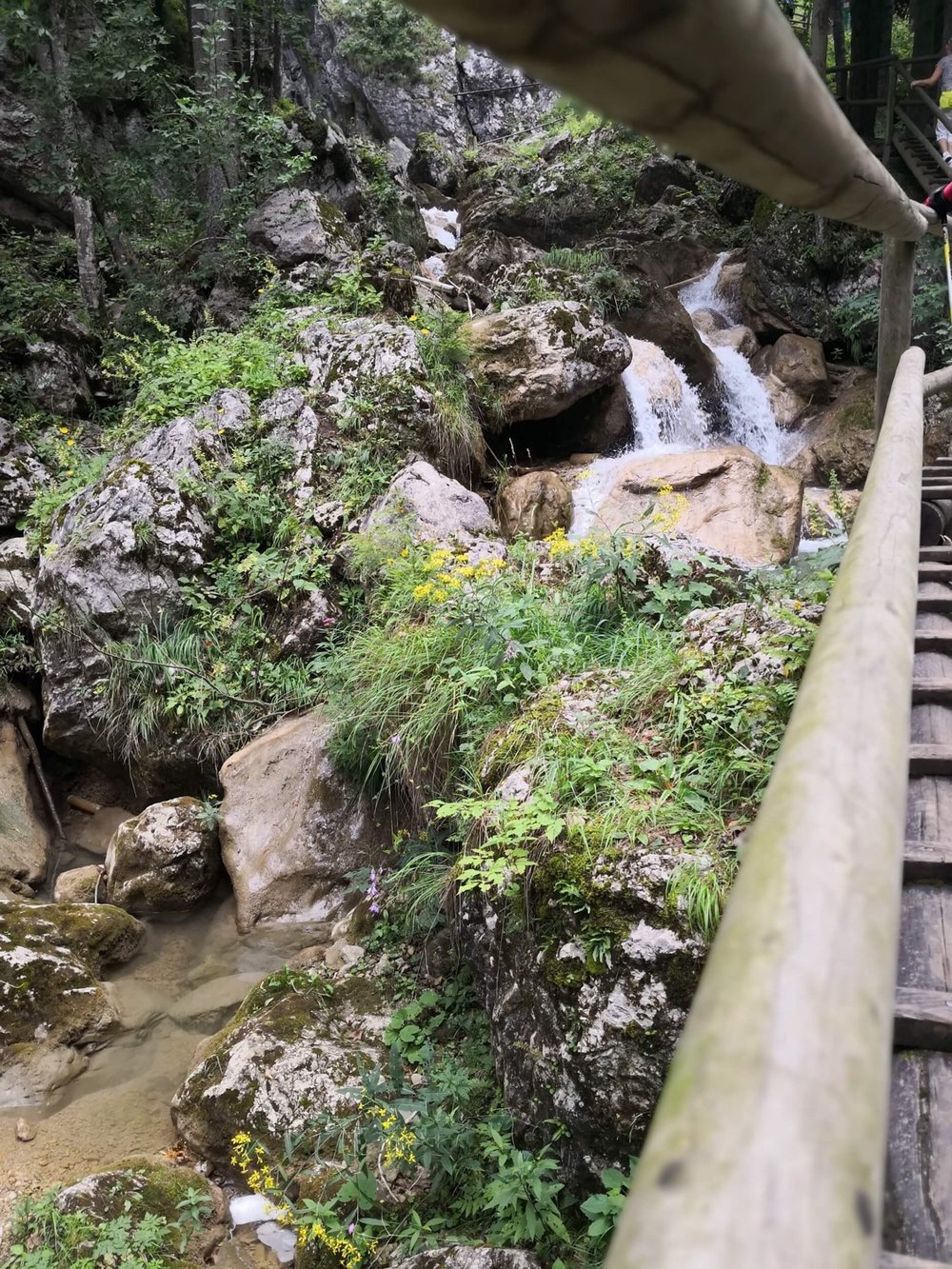 Ewald Koch - Baerenschuetzklamm 12.jpg