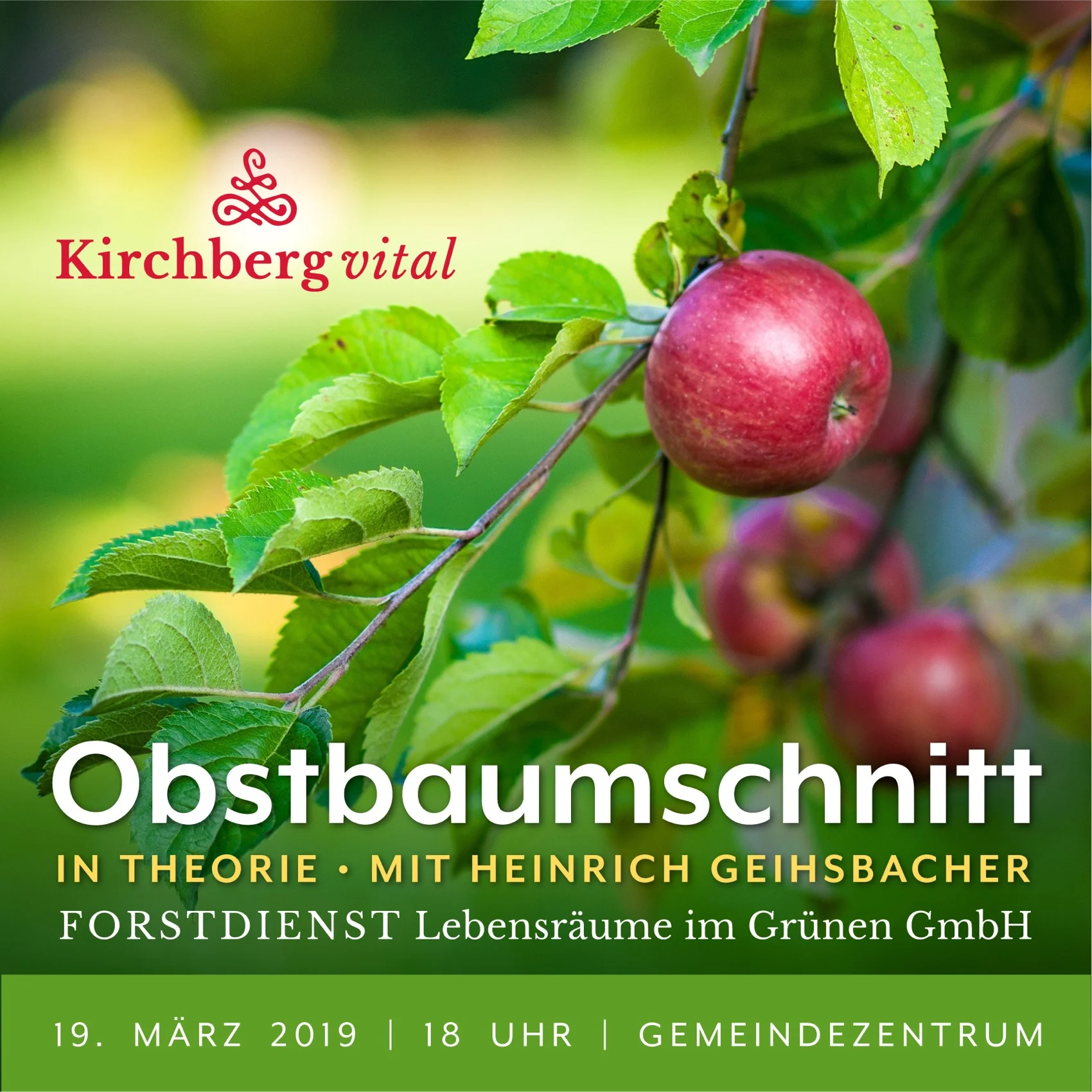 Obstbaumschnitt in Theorie | Forstdienst