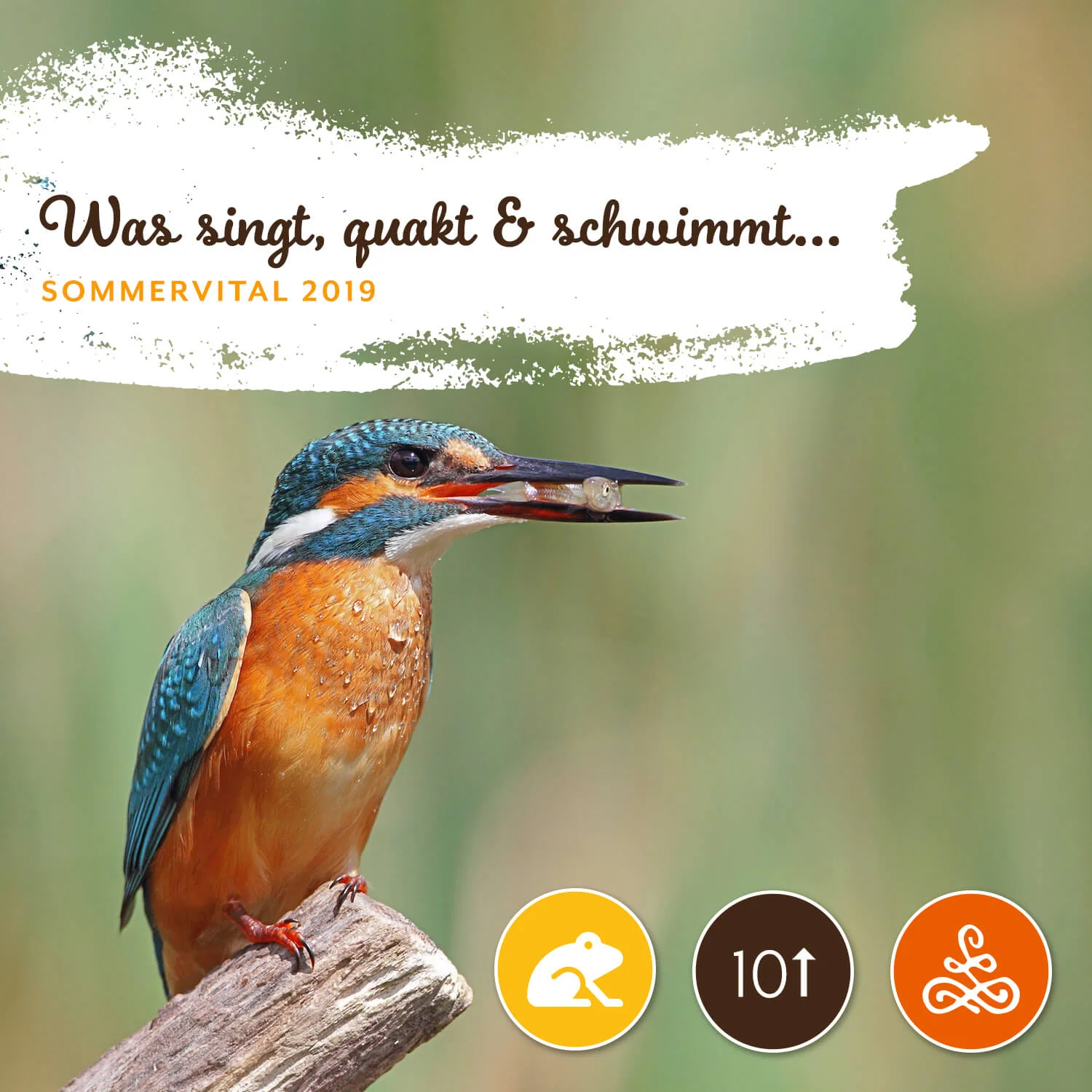 Was singt, quakt und schwimmt denn da?