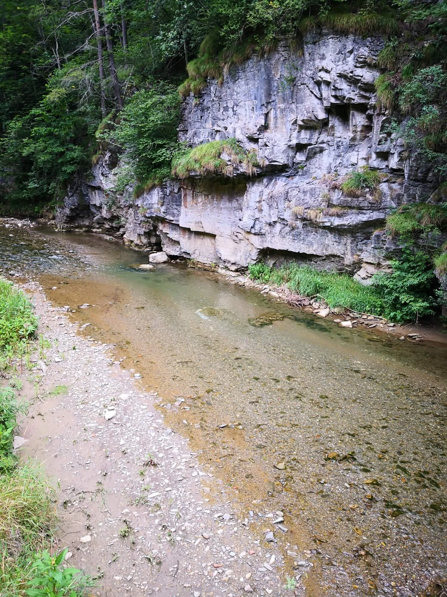 Ewald Koch - IMG_20190721_095731.jpg