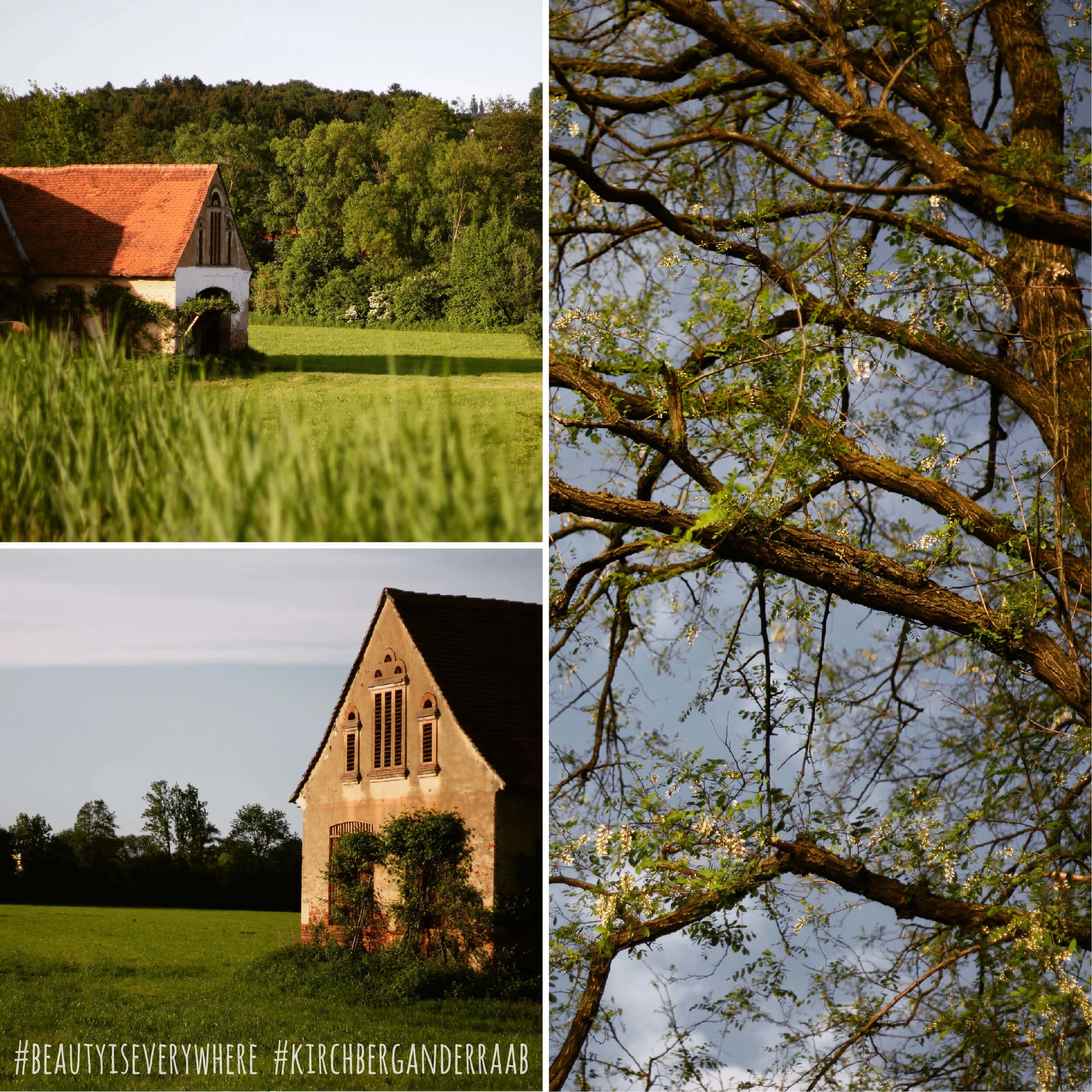 Kirchberg in Bildern