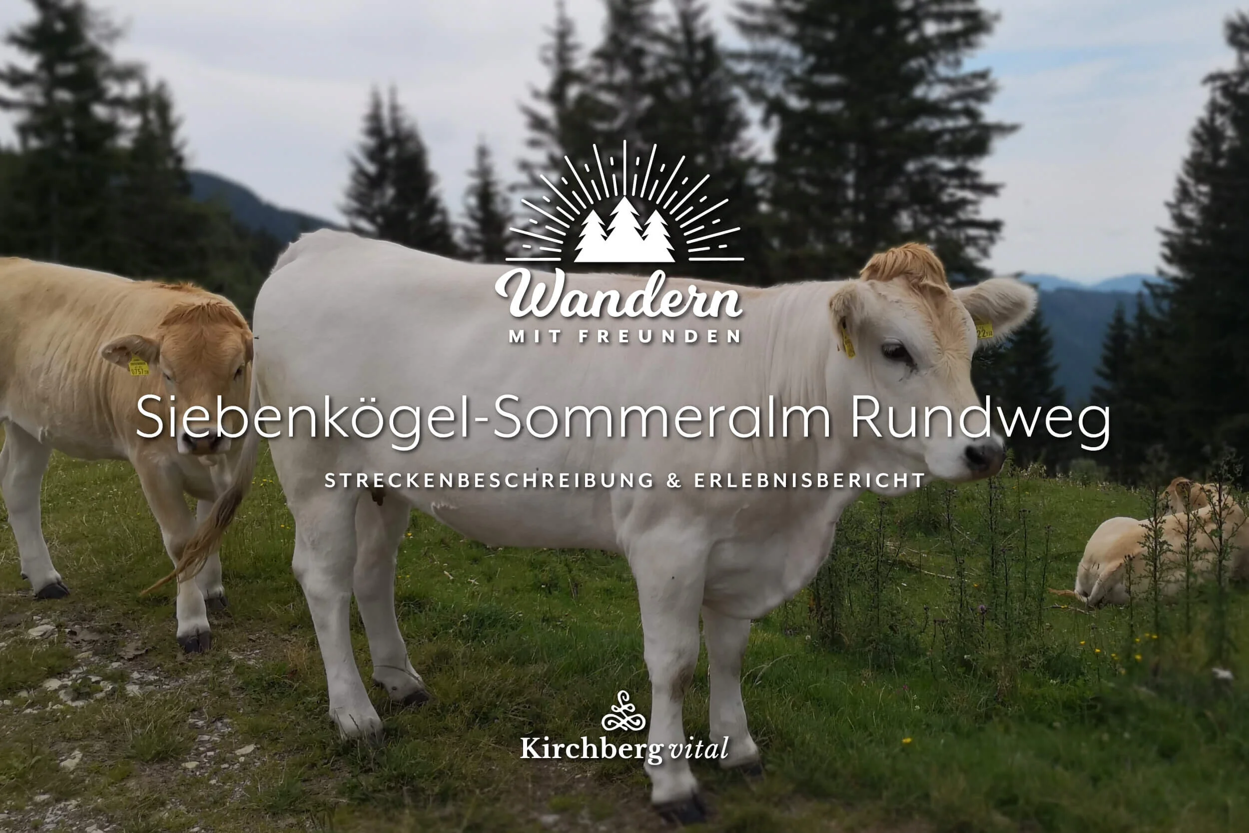 Wander-Bericht: Siebenkögel Sommeralm-Rundweg