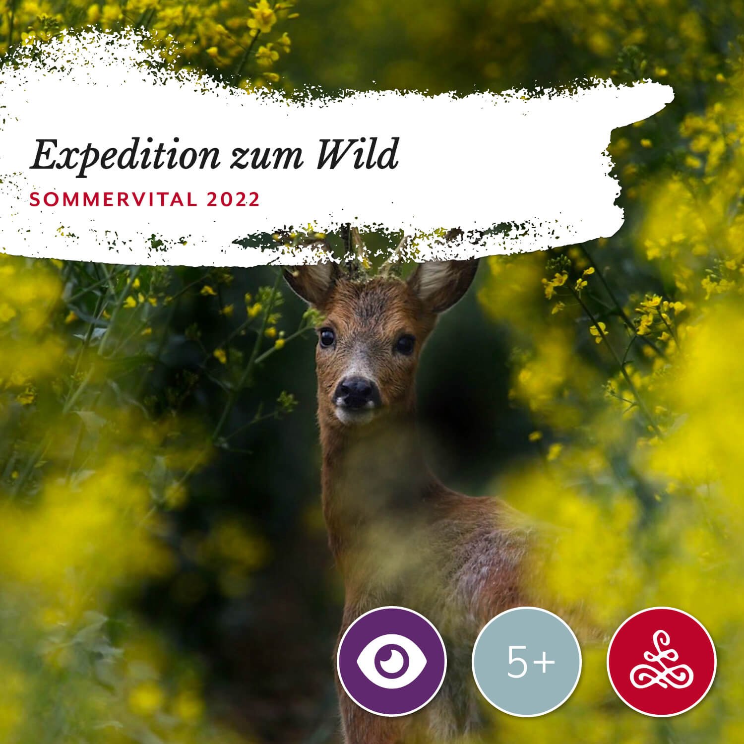 Expedition zum Wild