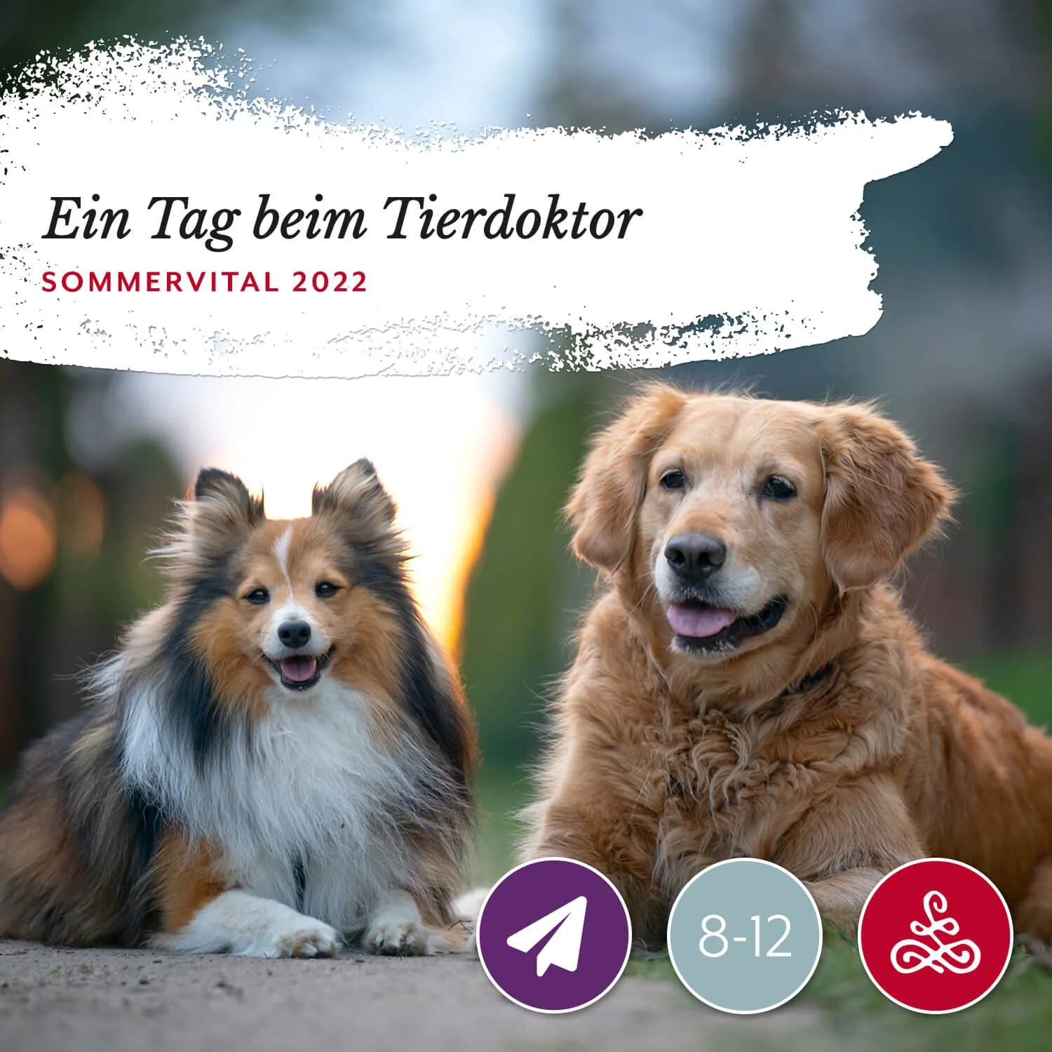 Ein Tag beim Tierdoktor inkl. Hundetraining &amp; Bissprävention