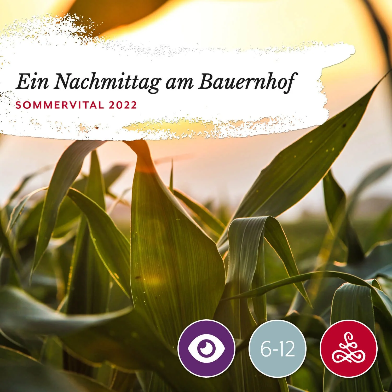 Ein Nachmittag am Bauernhof
