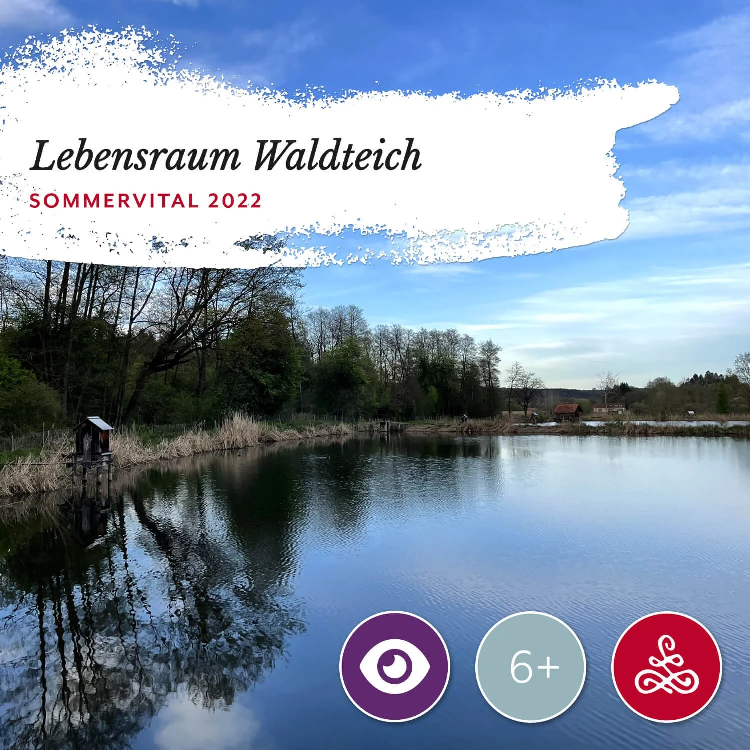 Lebensraum Waldteich