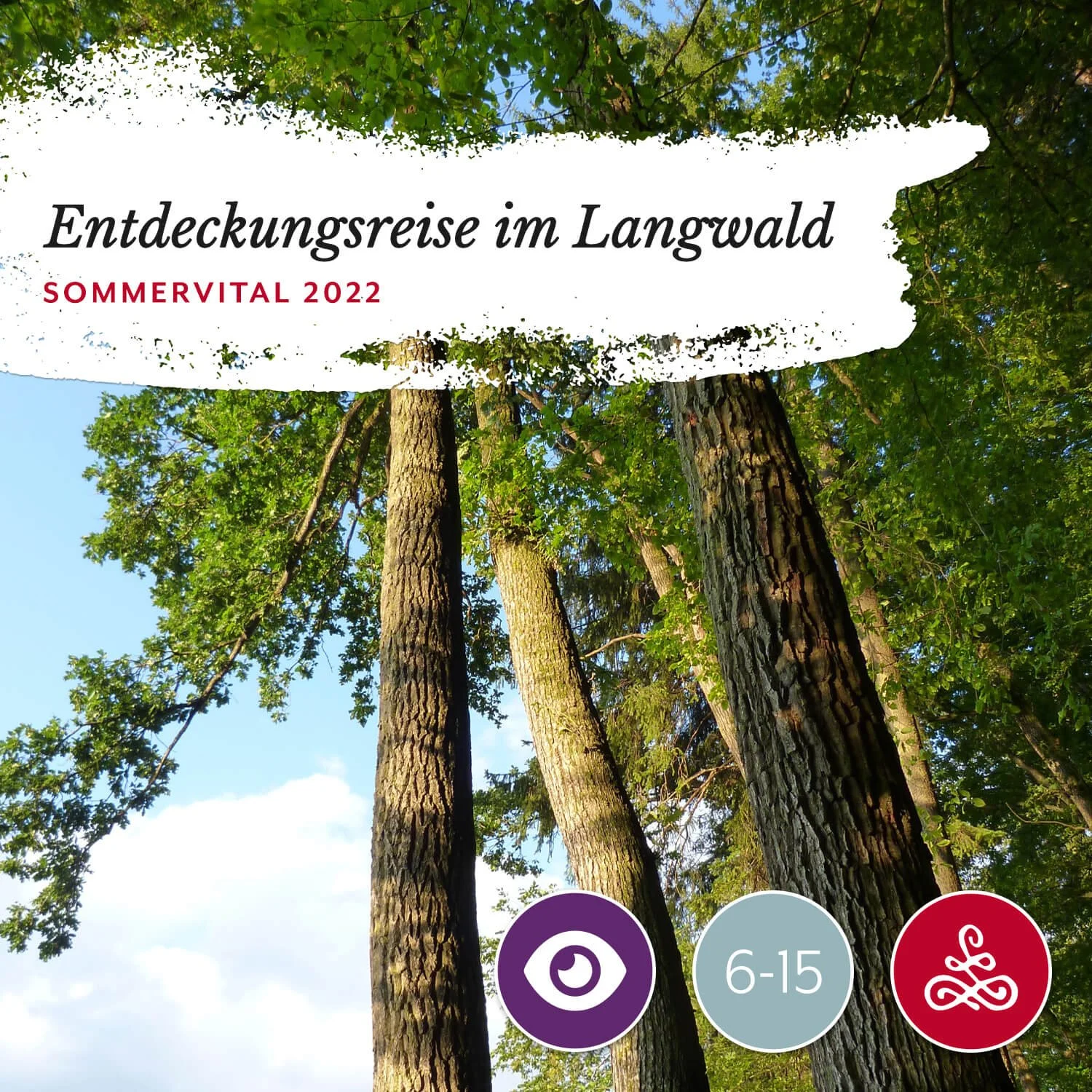 Waldtage: Auf Entdeckungsreise im Langwald