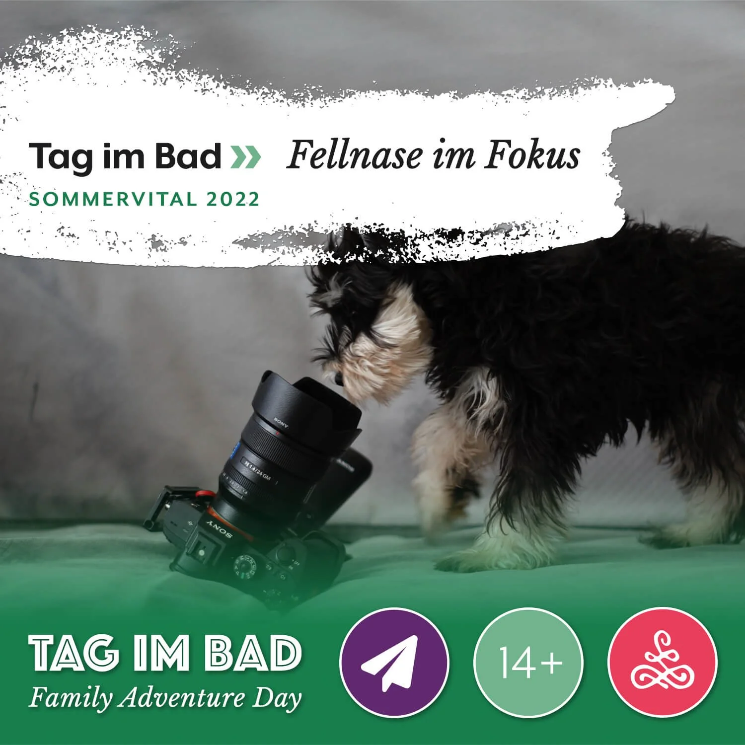 Tag im Bad: Fellnase im Fokus
