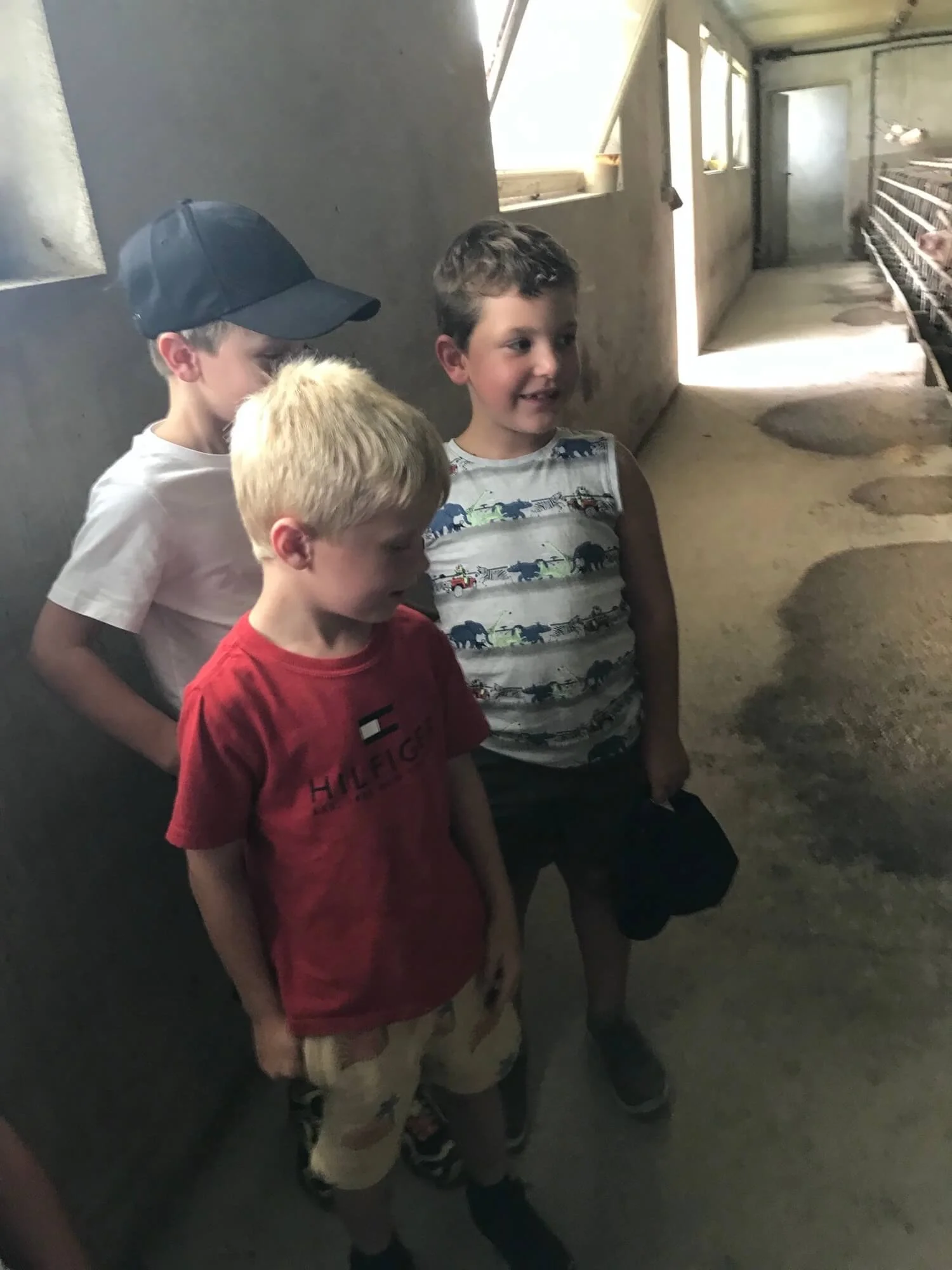 Gabriela Ofner-18D83AEF-F86F-4D74-AB74-3A3A7F99B6DC.jpeg